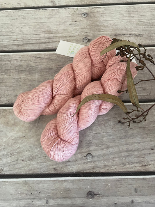 Peach Crush on Camelia - silk and cotton 4 ply