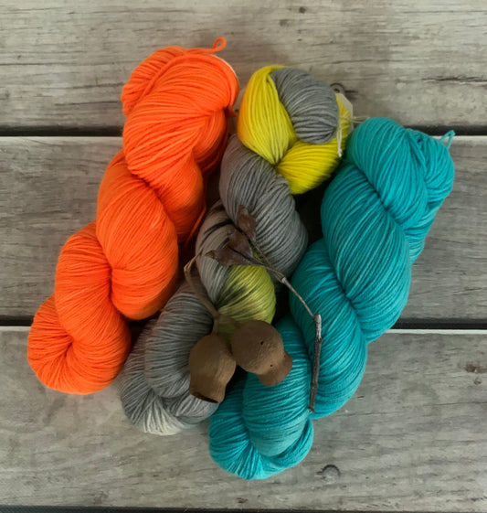 Golden Shouldered Parrot - Darjeeling 3-skein sock set