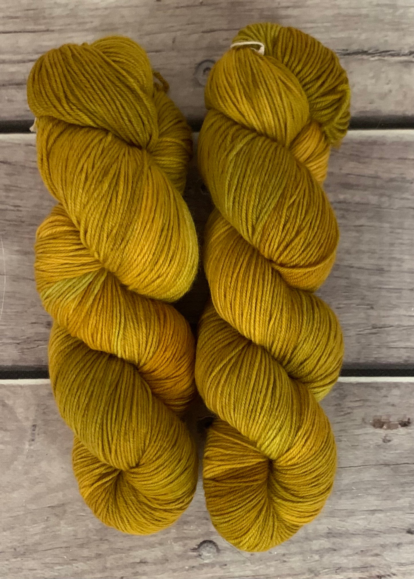 Silvereye Head - sock yarn in merino and nylon - Darjeeling