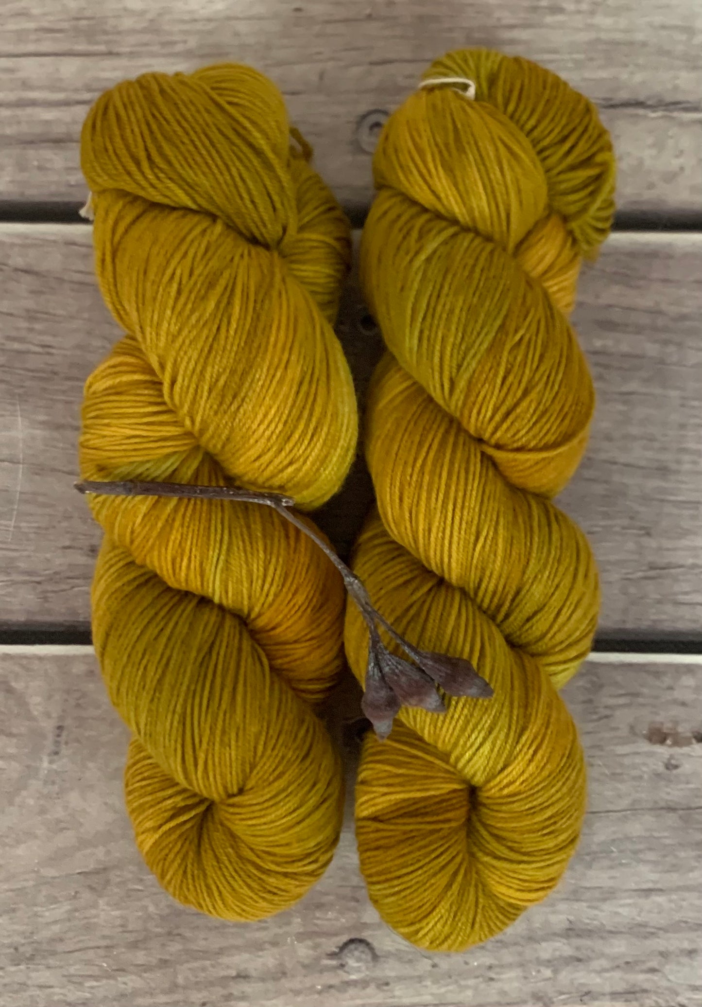 Silvereye Head - sock yarn in merino and nylon - Darjeeling