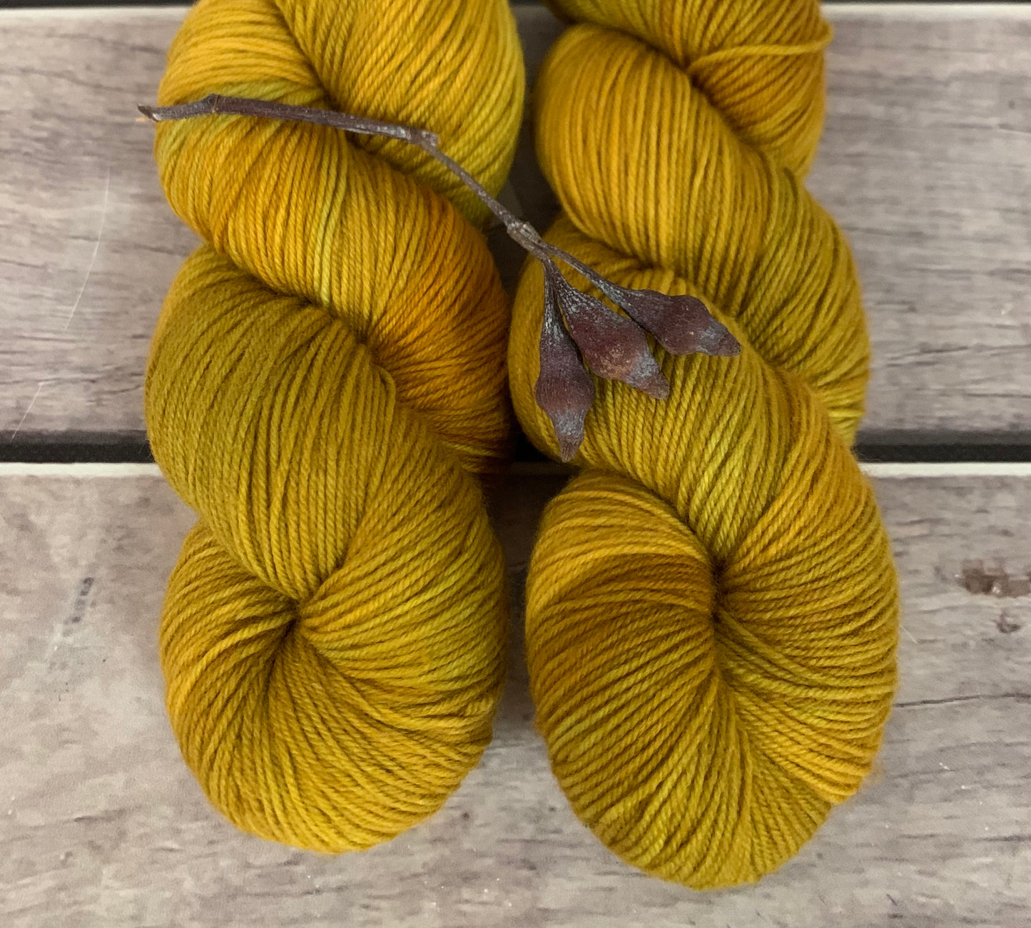 Silvereye Head - sock yarn in merino and nylon - Darjeeling