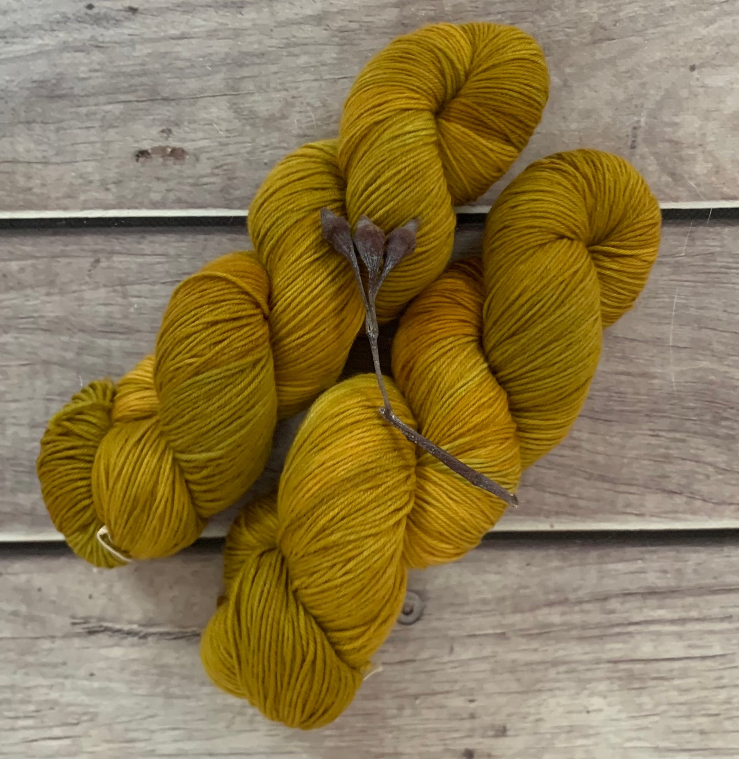 Silvereye Head - sock yarn in merino and nylon - Darjeeling