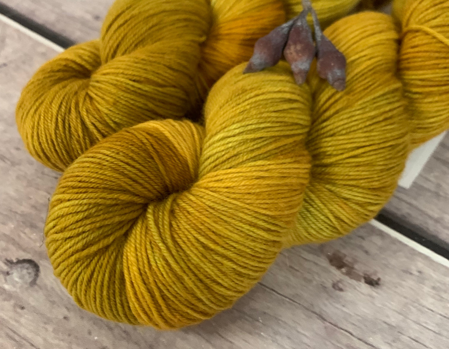 Silvereye Head - sock yarn in merino and nylon - Darjeeling