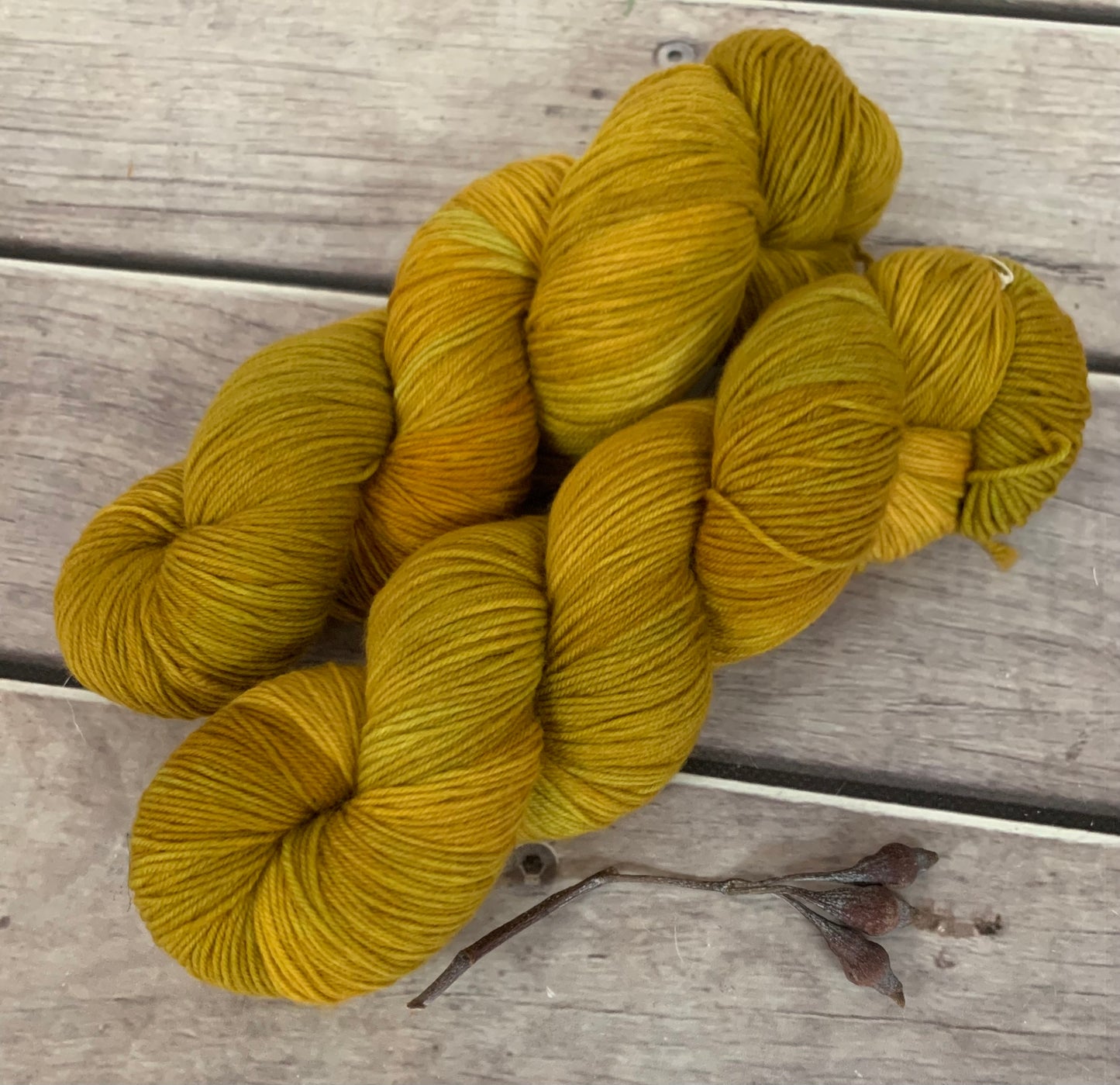 Silvereye Head - sock yarn in merino and nylon - Darjeeling