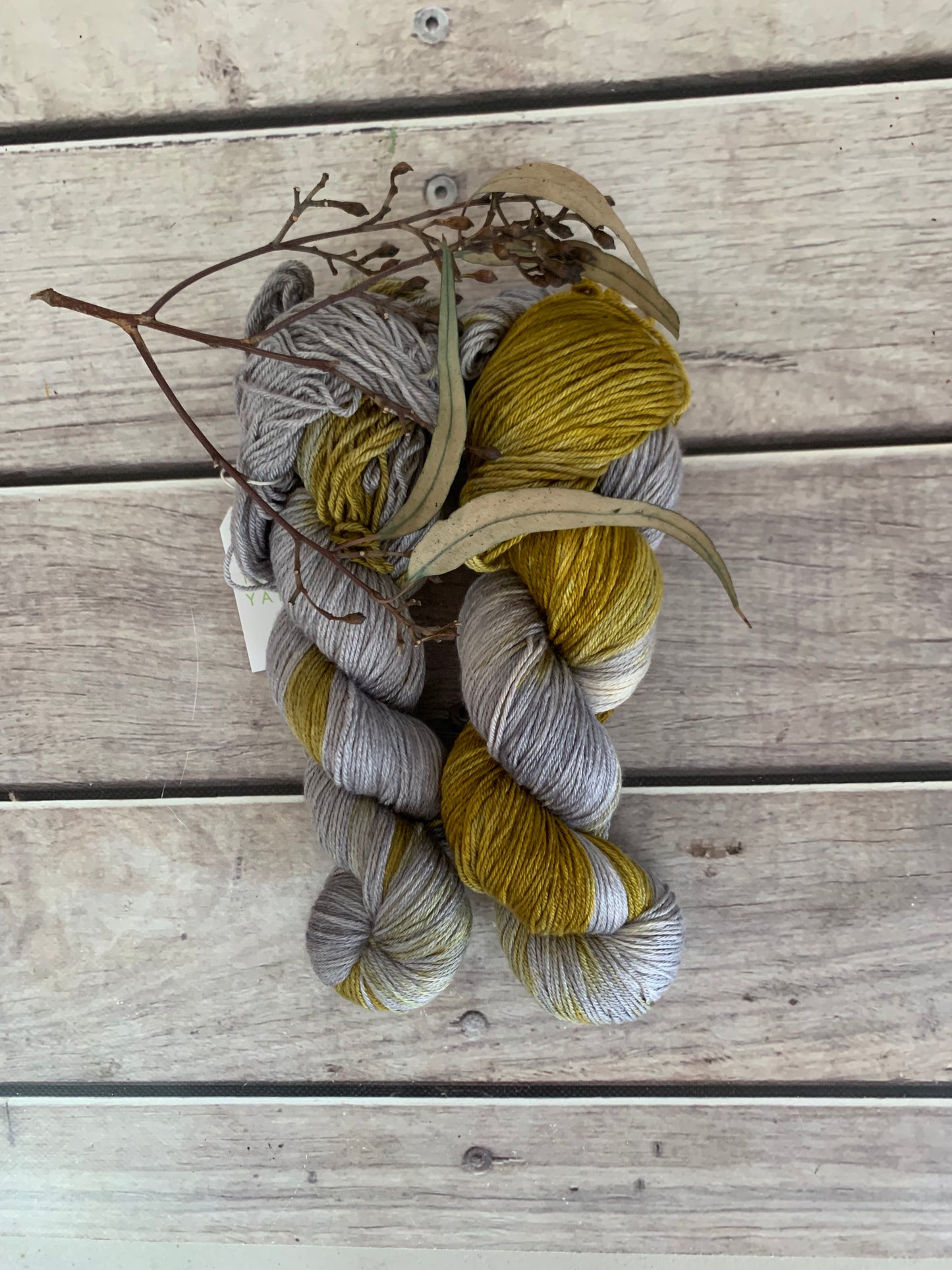 Silvereye Wing - 4 ply in silk and merino - Jasmin 4