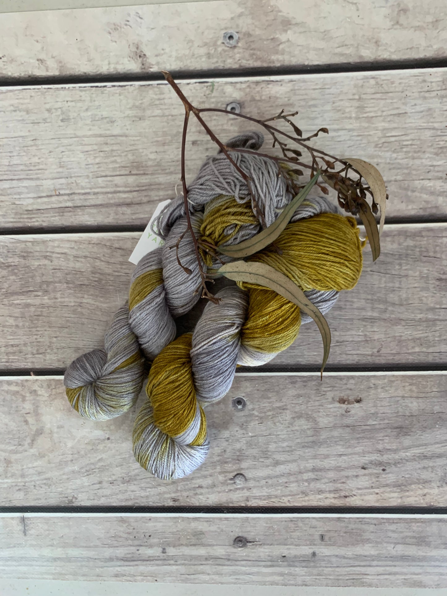 Silvereye Wing - 4 ply in silk and merino - Jasmin 4