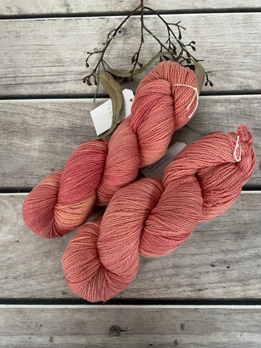 Pale Tangerine ooak - 4 ply merino/nylon Sock Yarn - Bush OB