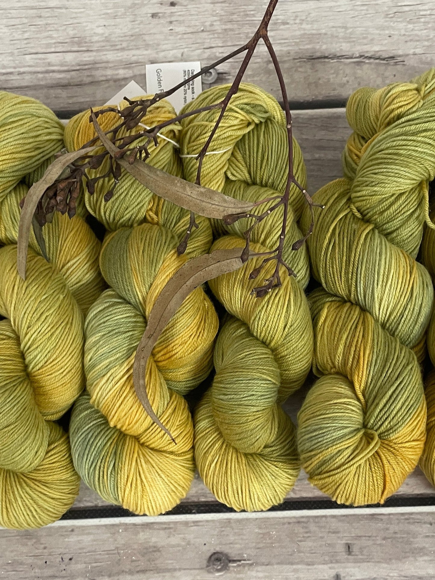 Golden Fern - sock yarn in merino and nylon - Darjeeling