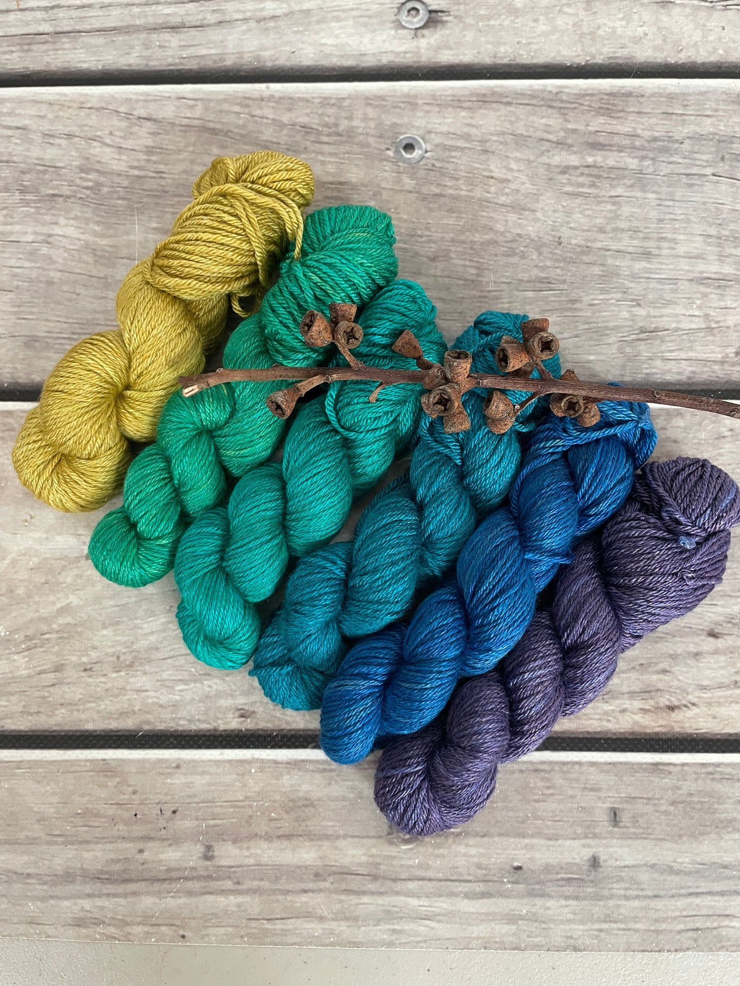 Peacock mini skein sets - Jasmin 4 - Kit 3