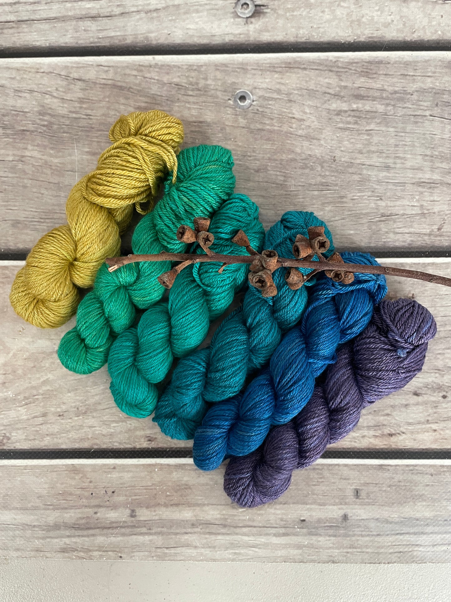 Peacock mini skein sets - Jasmin 4 - Kit 3