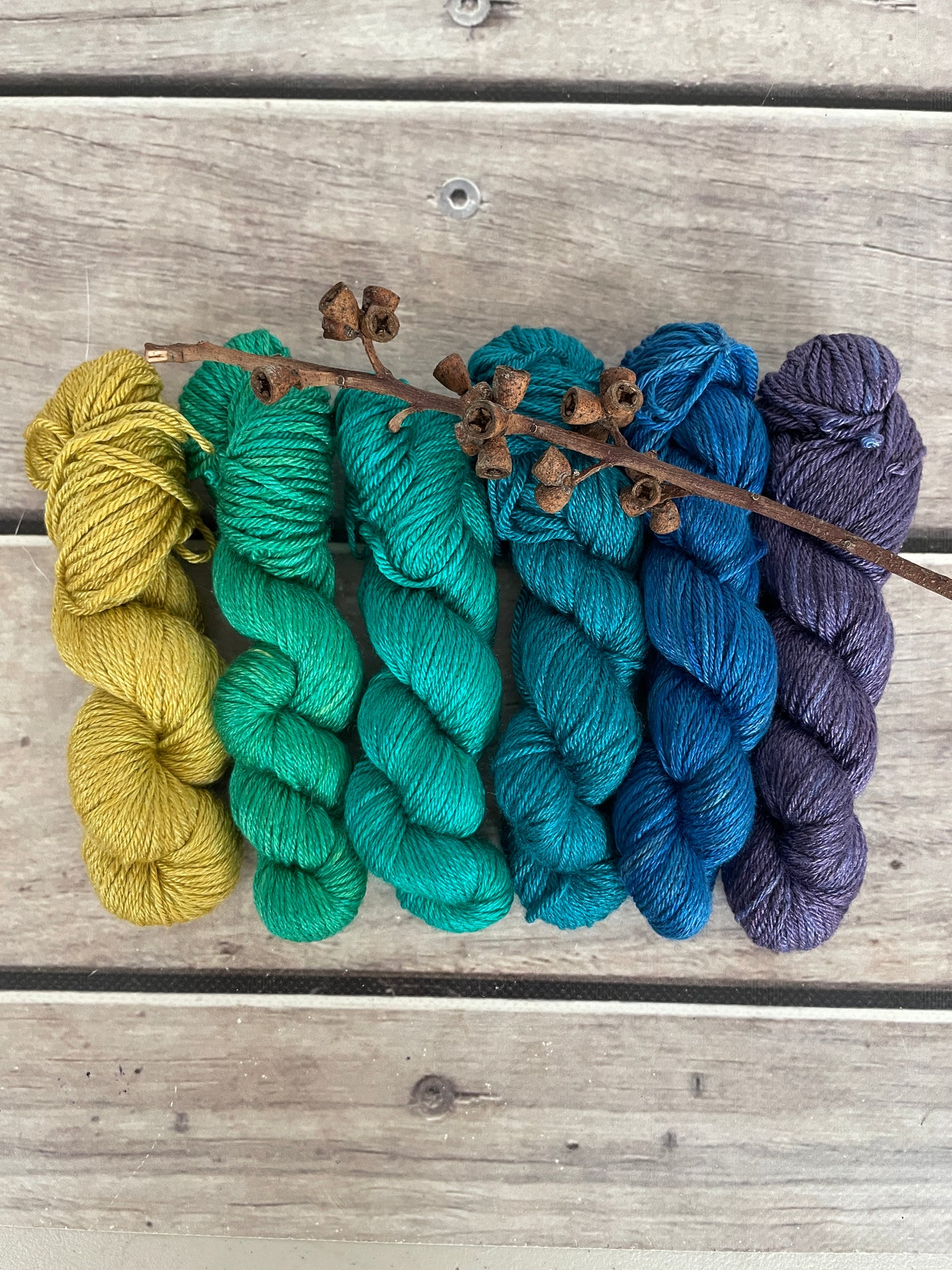 Peacock mini skein sets - Jasmin 4 - Kit 3