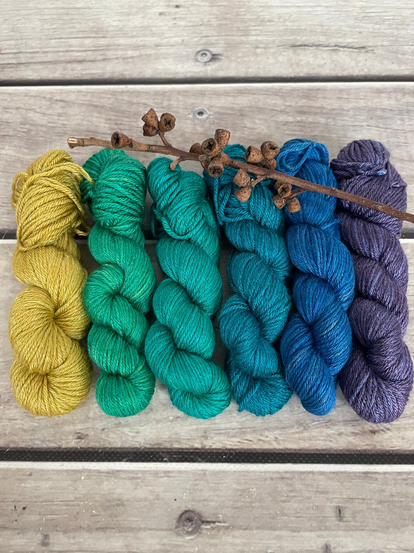 Peacock mini skein sets - Jasmin 4 - Kit 3