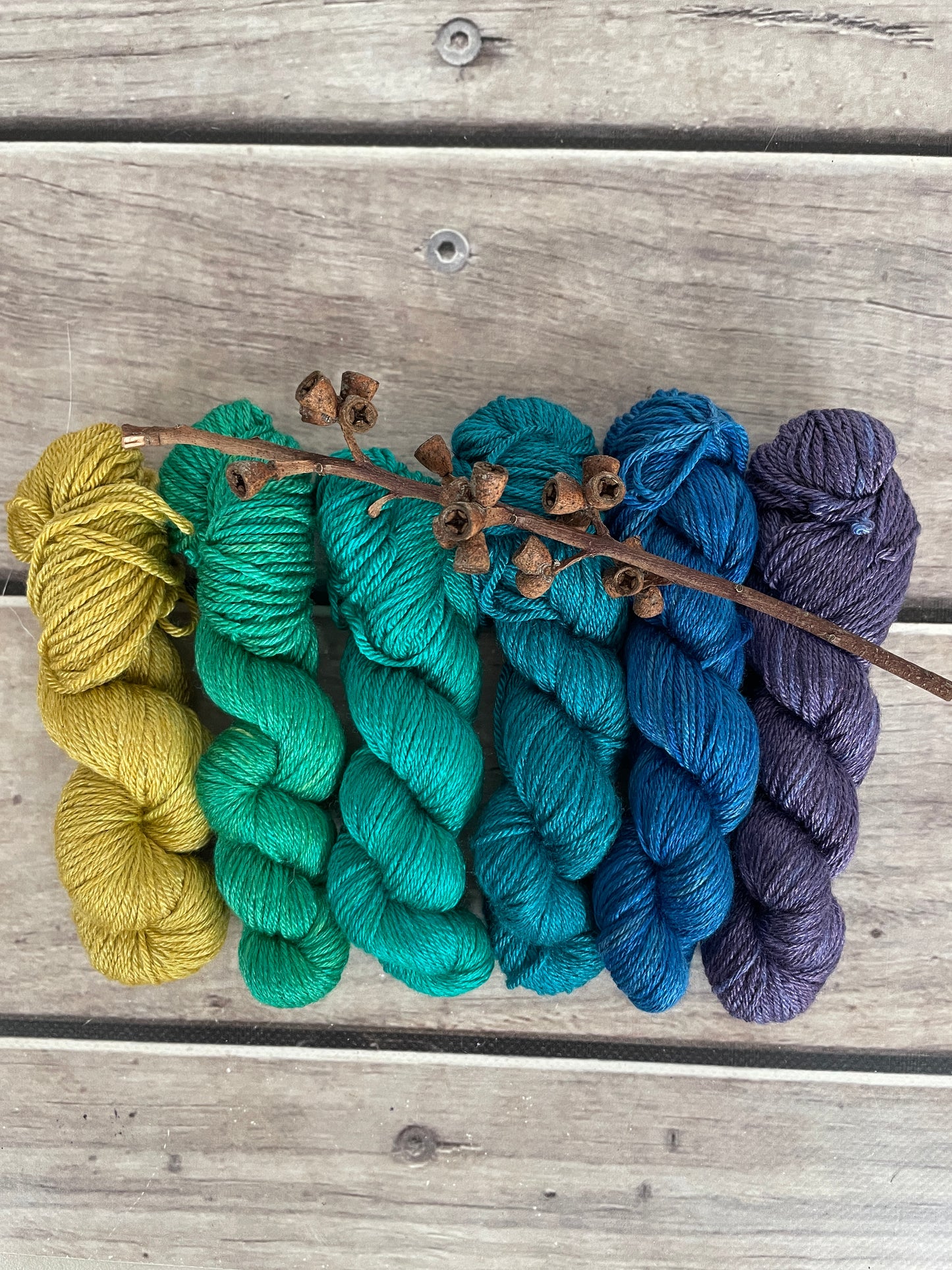 Peacock mini skein sets - Jasmin 4 - Kit 3