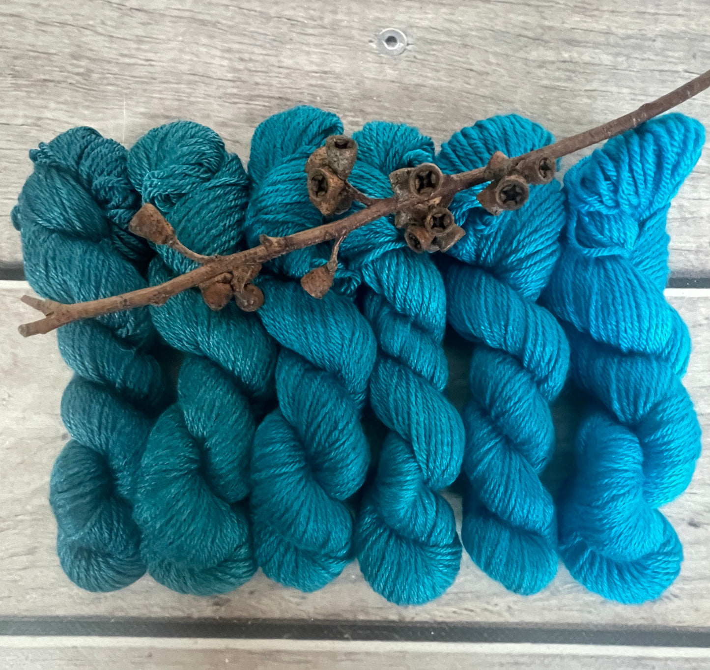 Peacock mini skein sets - Jasmin 4 - Kit 4