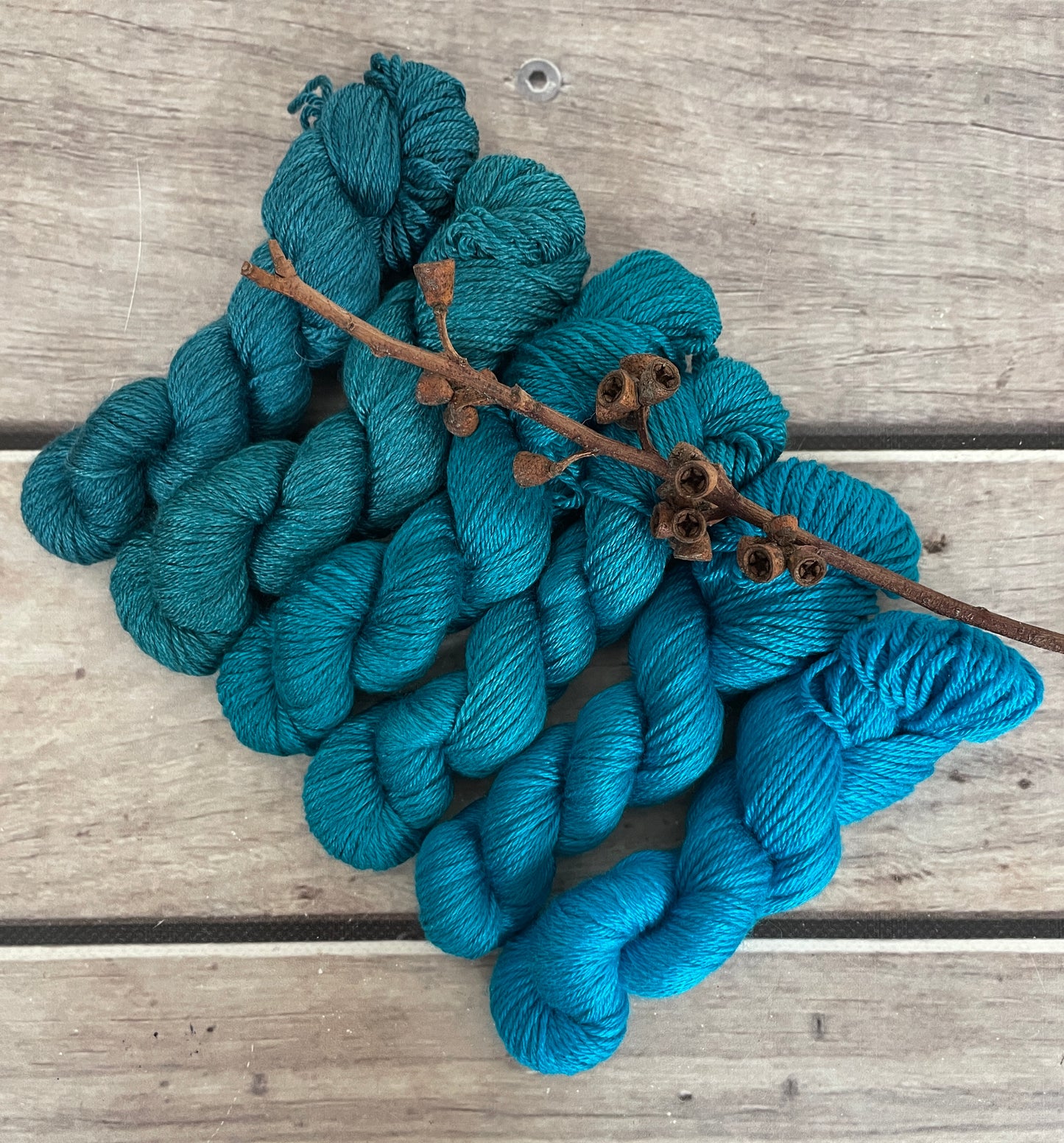 Peacock mini skein sets - Jasmin 4 - Kit 4