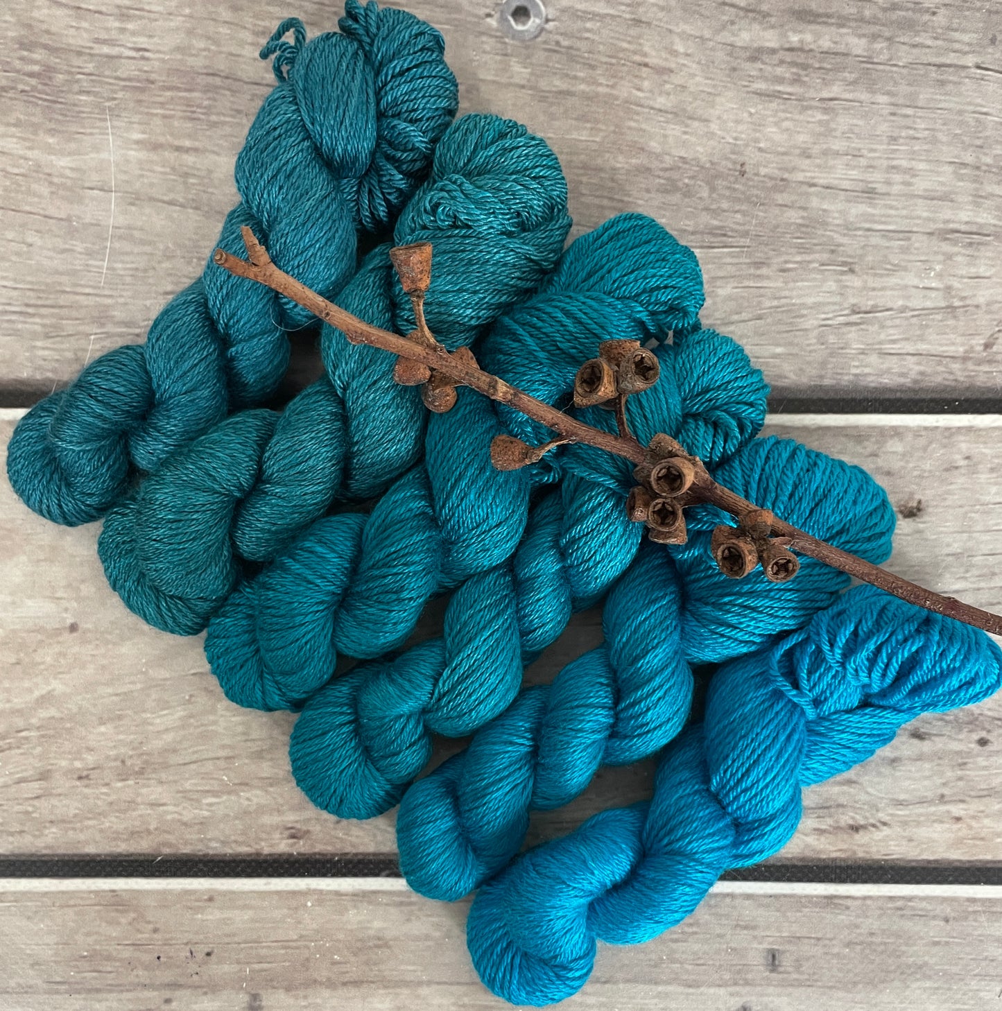 Peacock mini skein sets - Jasmin 4 - Kit 4