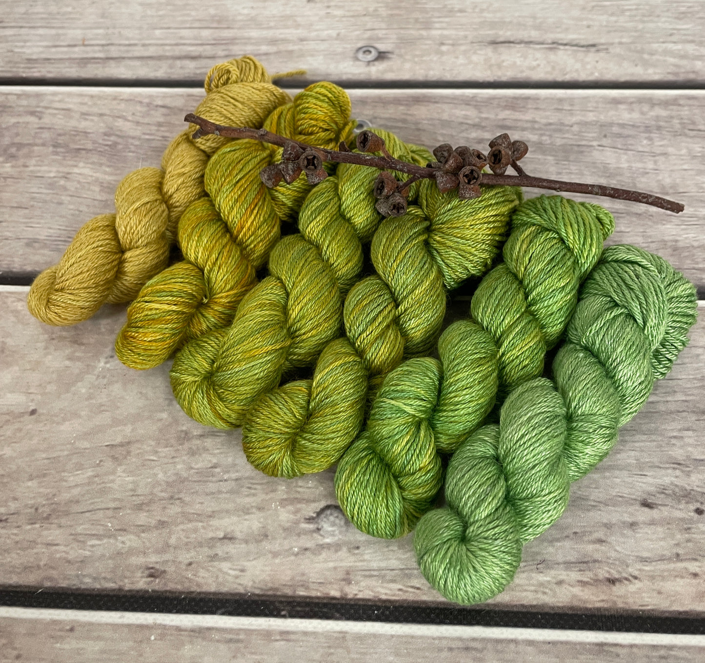 Peacock mini skein sets - Jasmin 4 - Kit 5