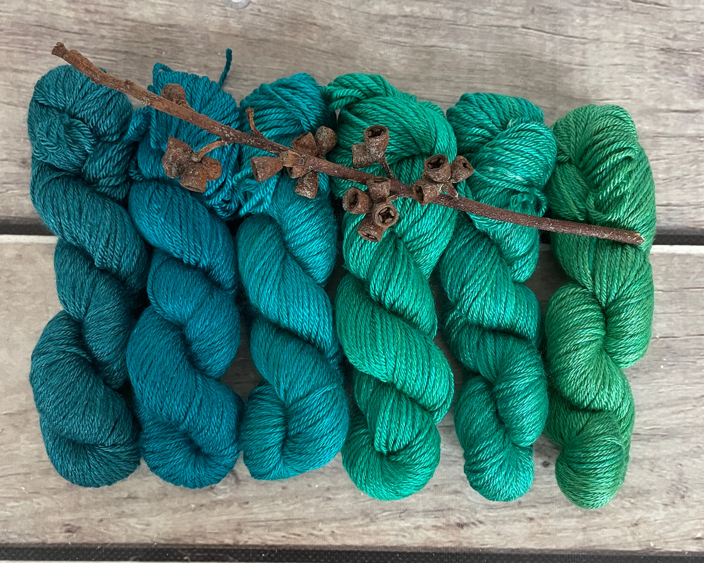 Peacock mini skein sets - Jasmin 4 - Kit 6