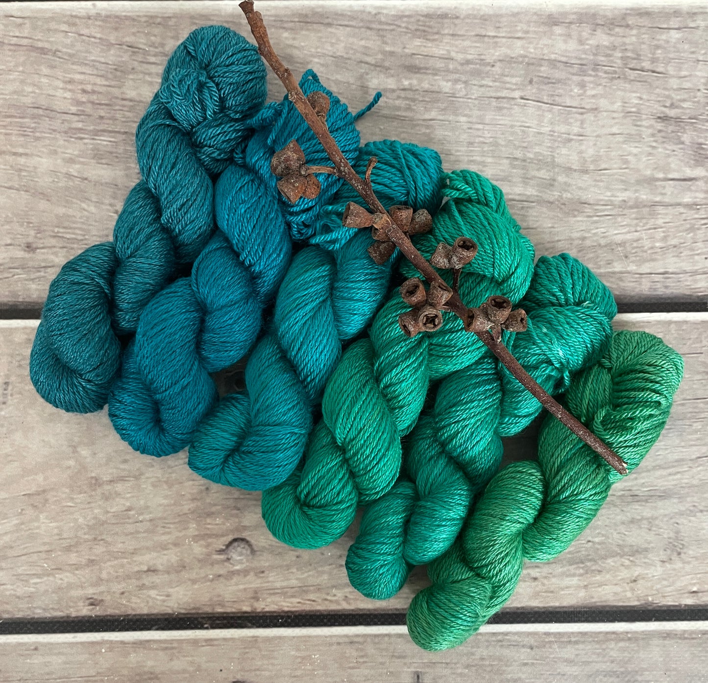 Peacock mini skein sets - Jasmin 4 - Kit 6