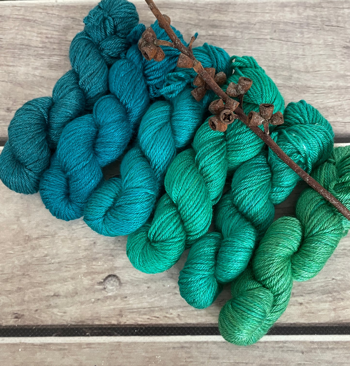 Peacock mini skein sets - Jasmin 4 - Kit 6