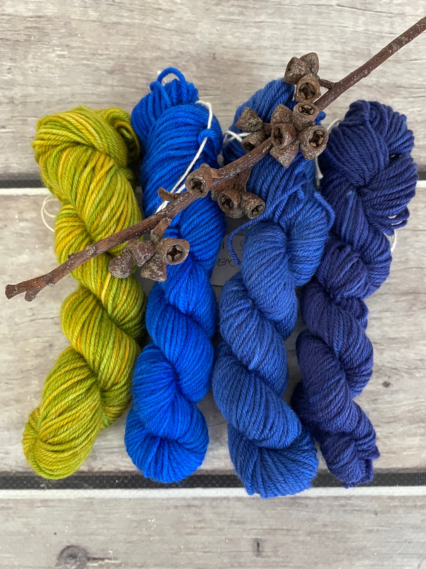 Peacock mini skein kit - Darjeeling 4 - kit 1