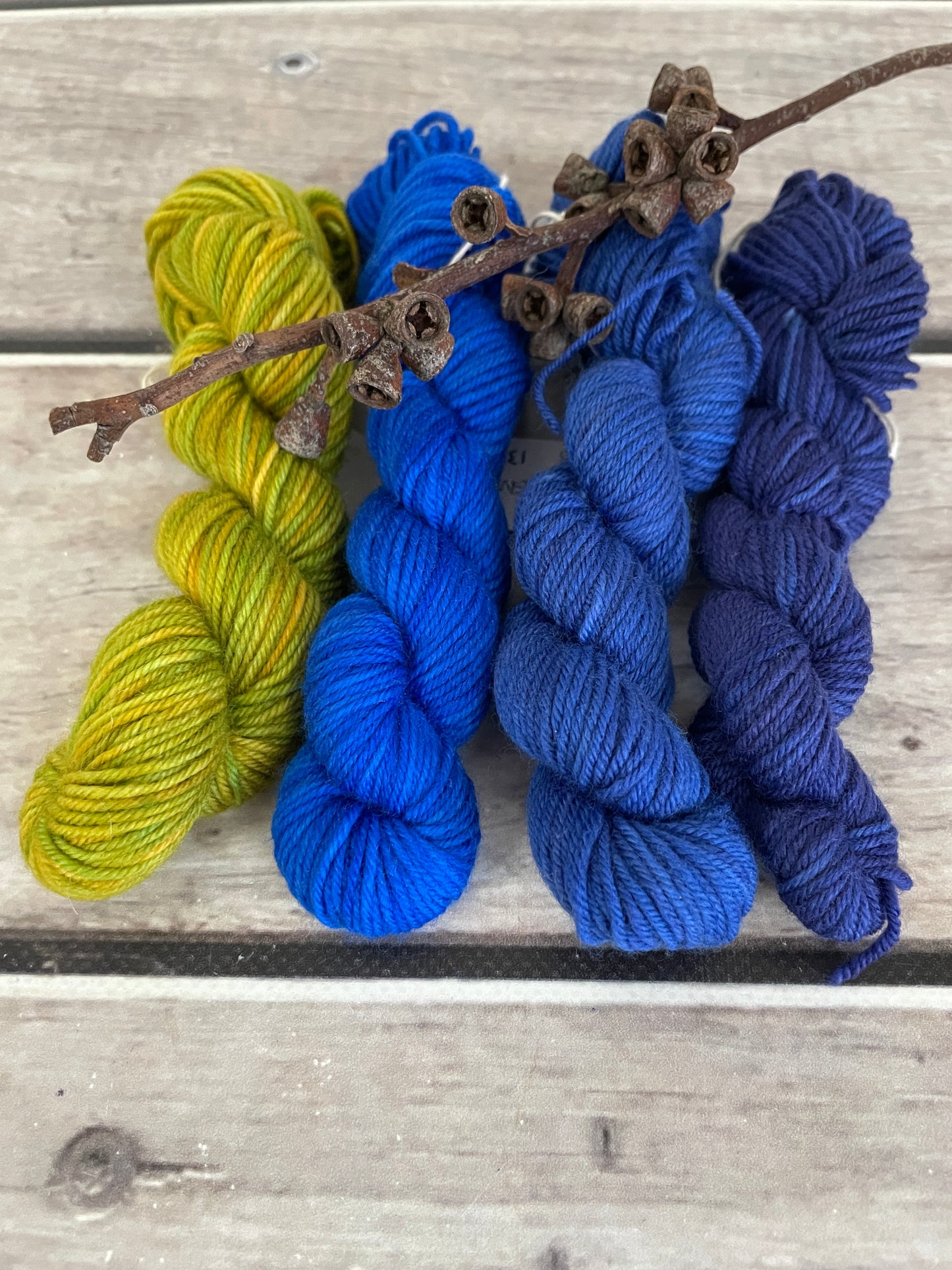 Peacock mini skein kit - Darjeeling 4 - kit 1