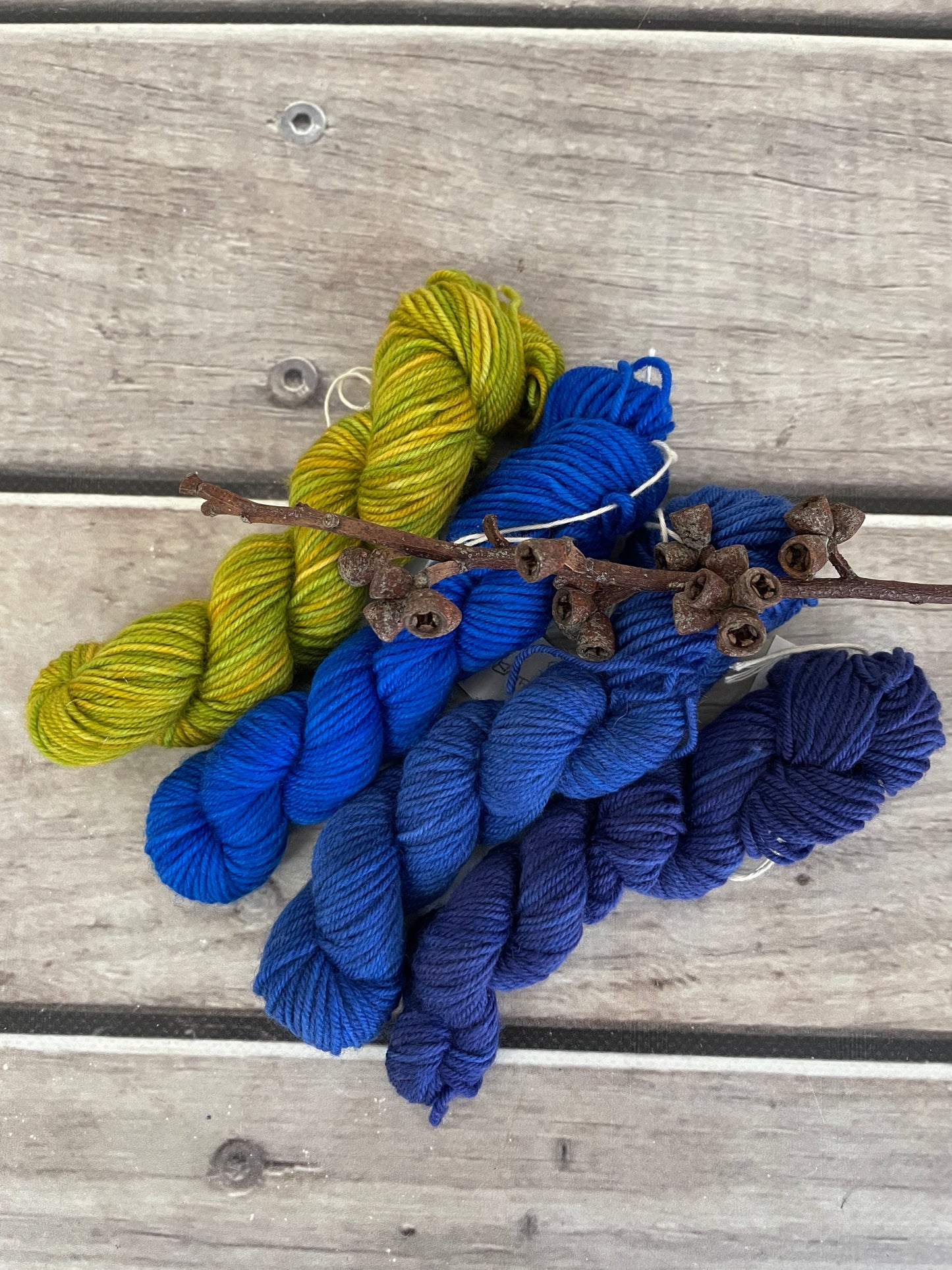 Peacock mini skein kit - Darjeeling 4 - kit 1