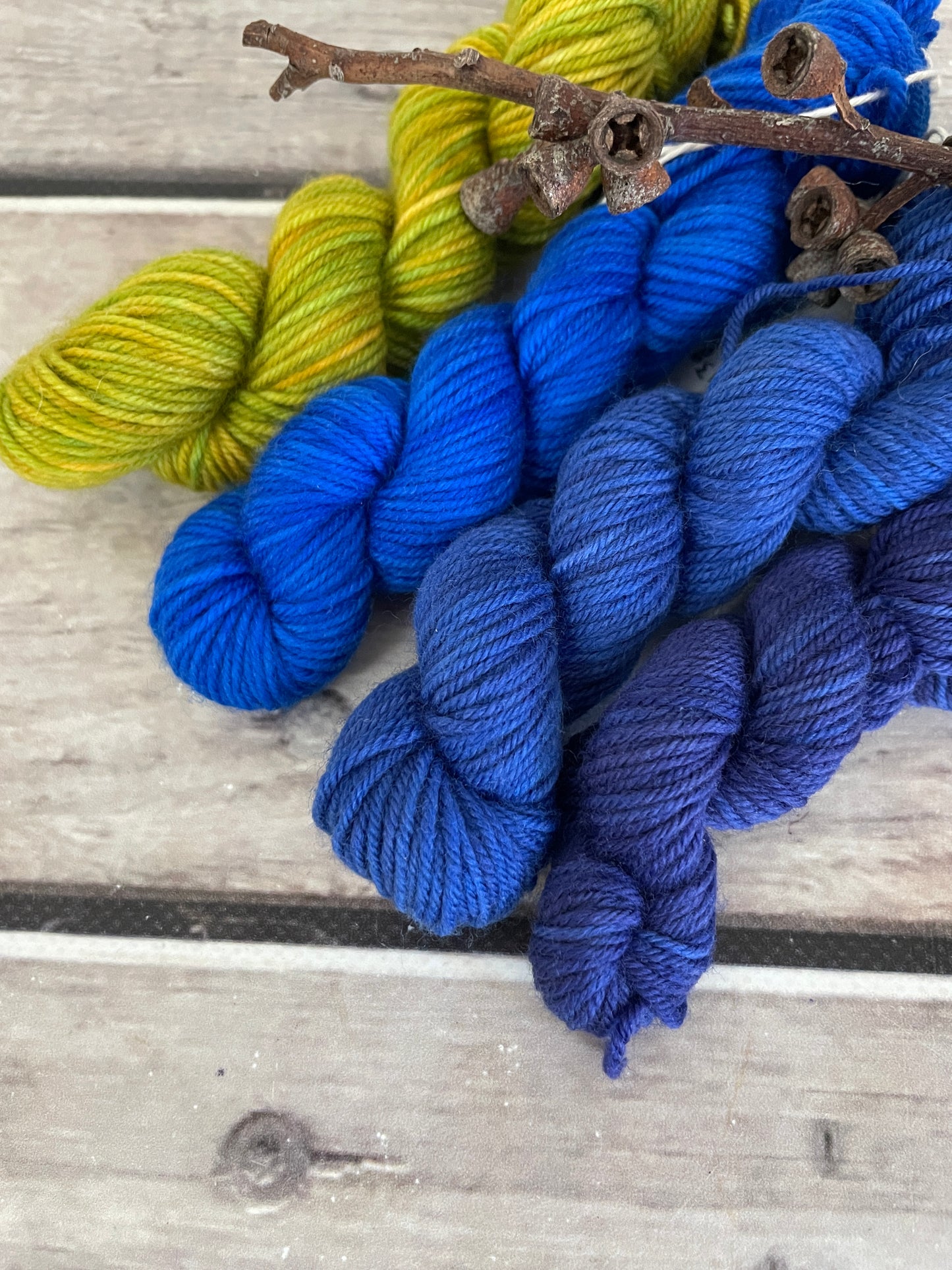 Peacock mini skein kit - Darjeeling 4 - kit 1