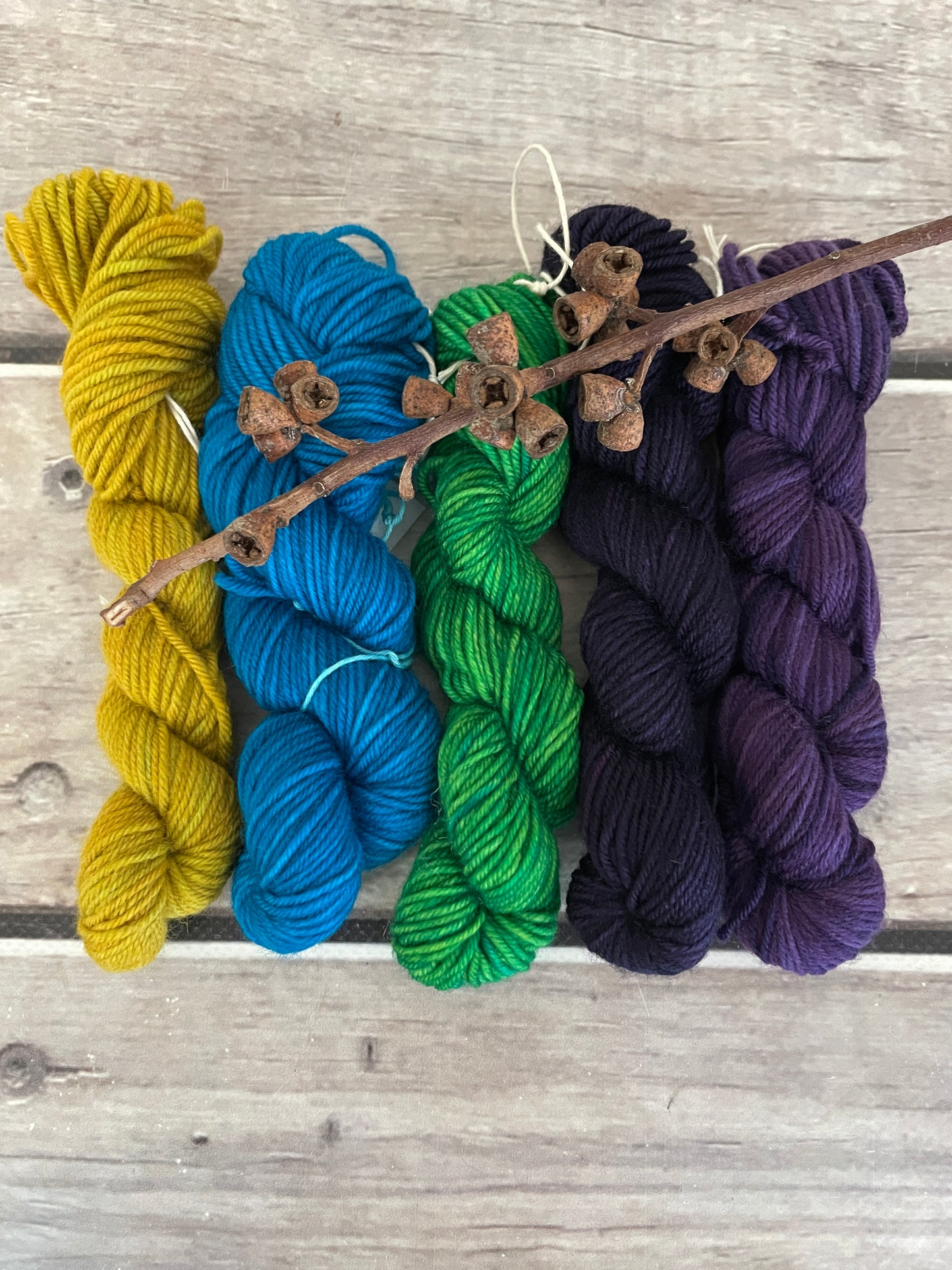 Peacock mini skein kit - Darjeeling 4 - kit 2