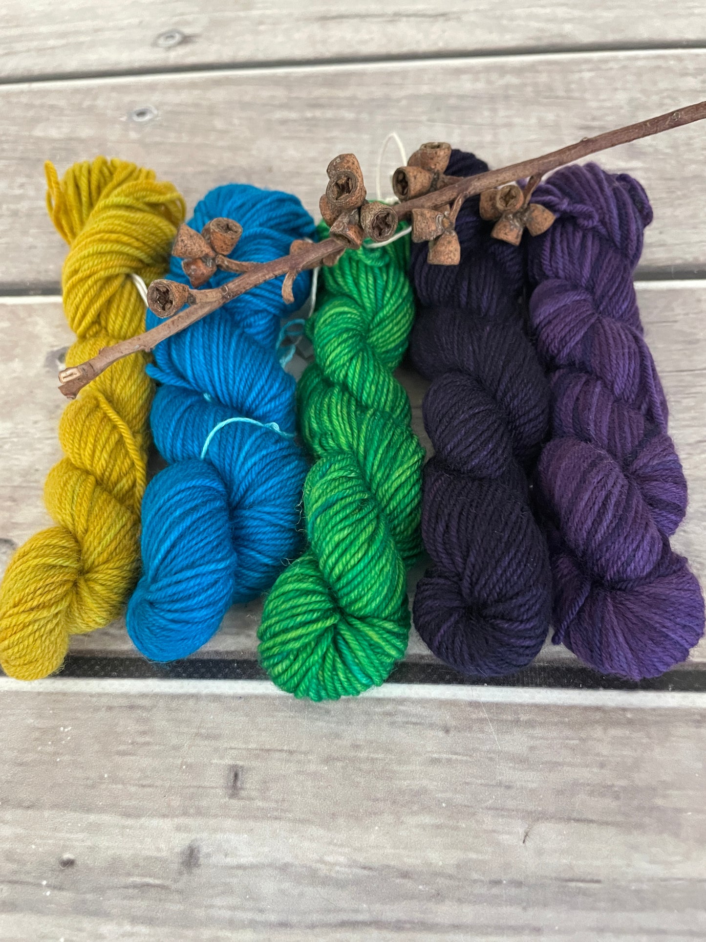 Peacock mini skein kit - Darjeeling 4 - kit 2