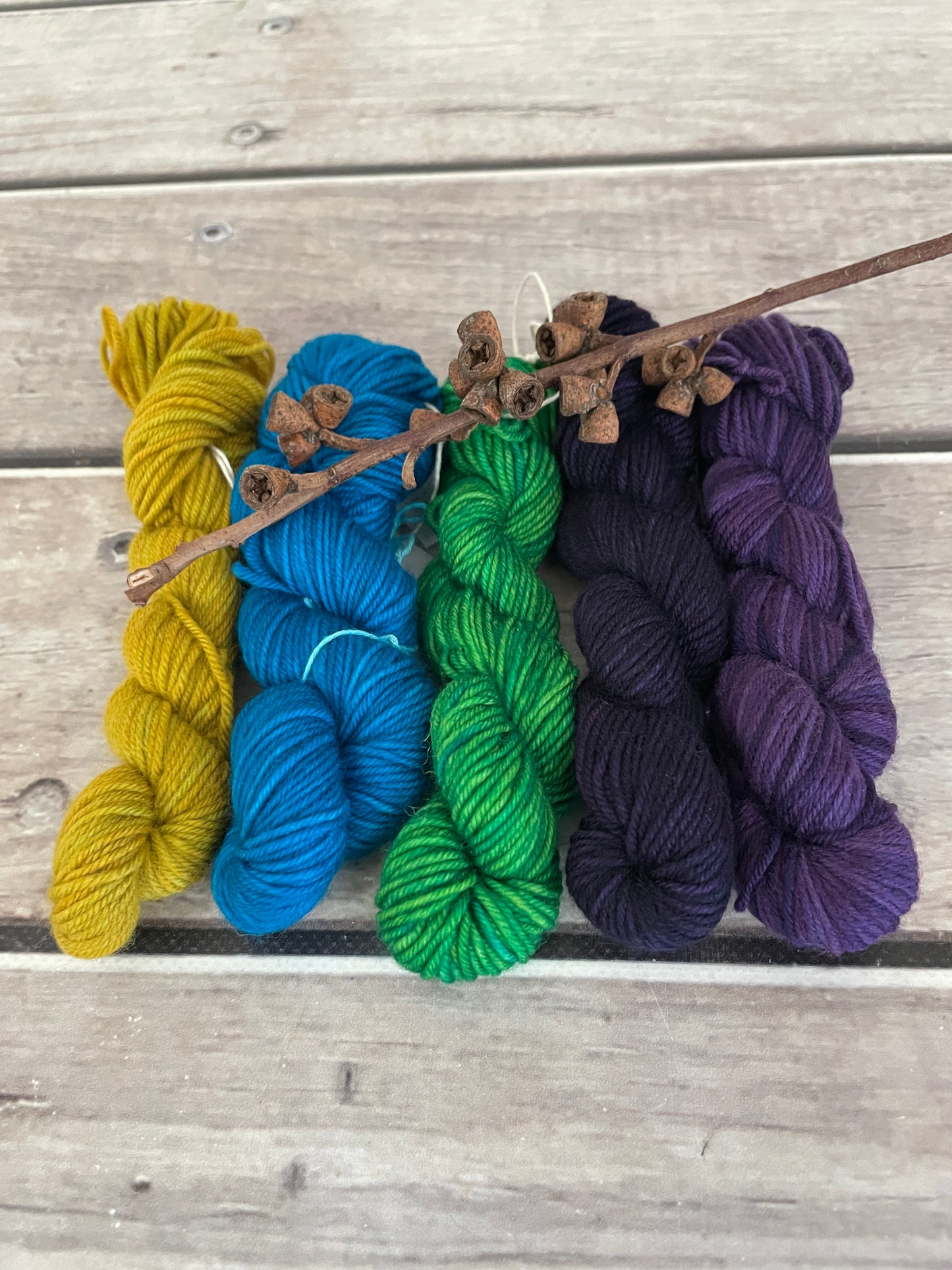 Peacock mini skein kit - Darjeeling 4 - kit 2