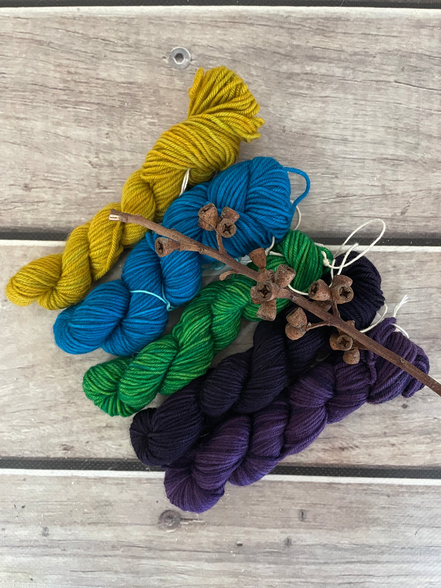 Peacock mini skein kit - Darjeeling 4 - kit 2