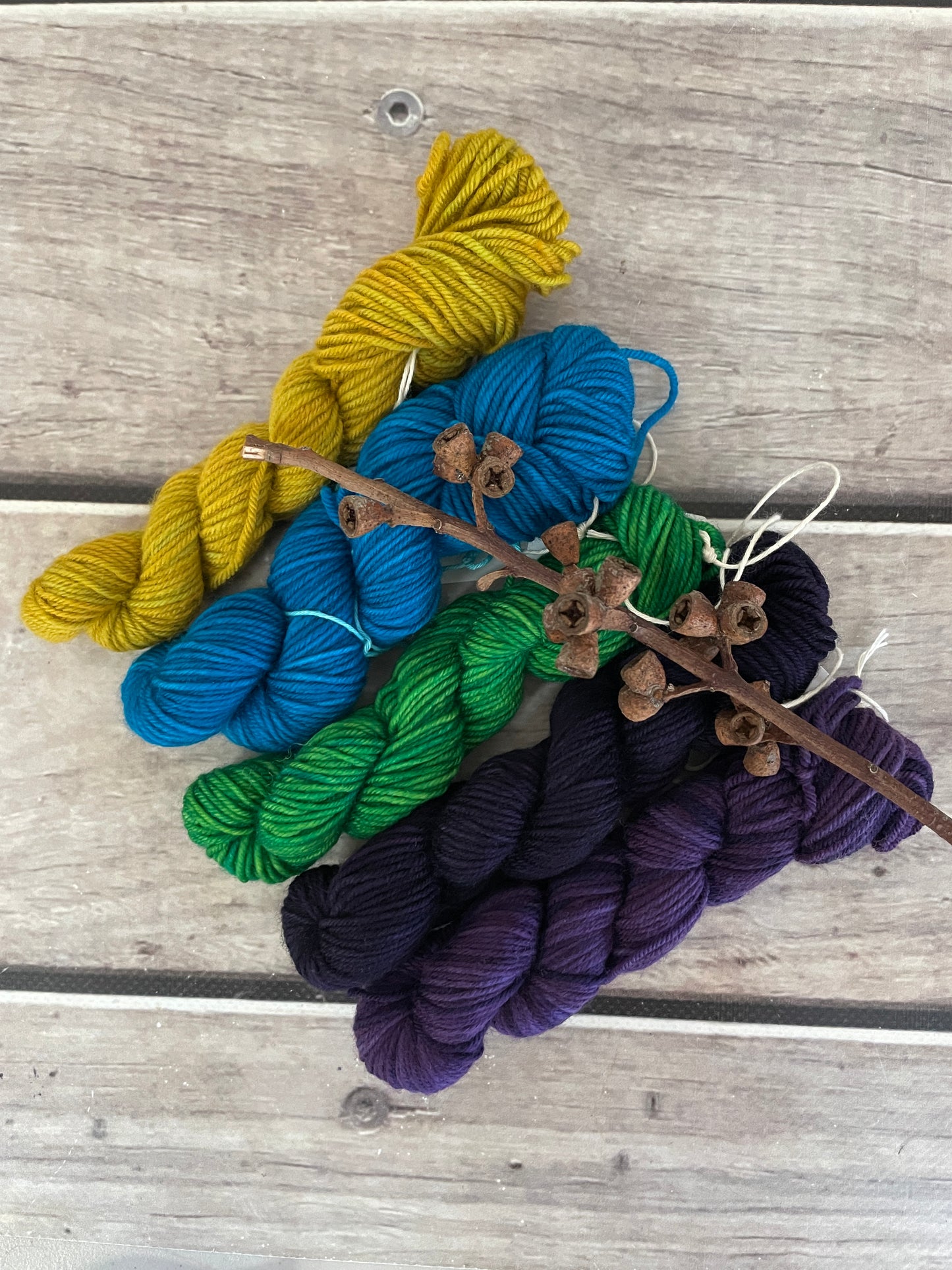 Peacock mini skein kit - Darjeeling 4 - kit 2