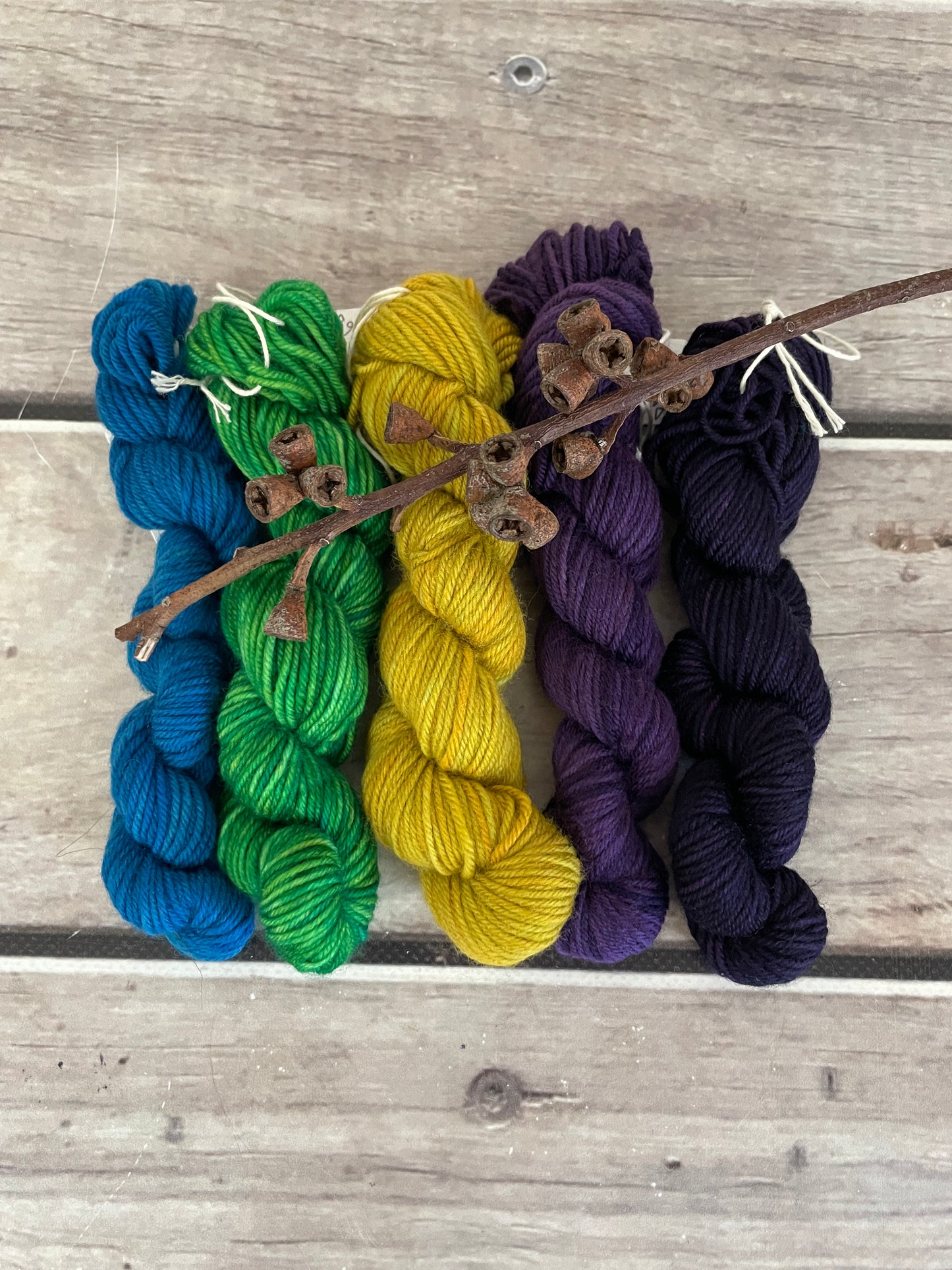 Peacock mini skein kit - Darjeeling 4 - kit 3