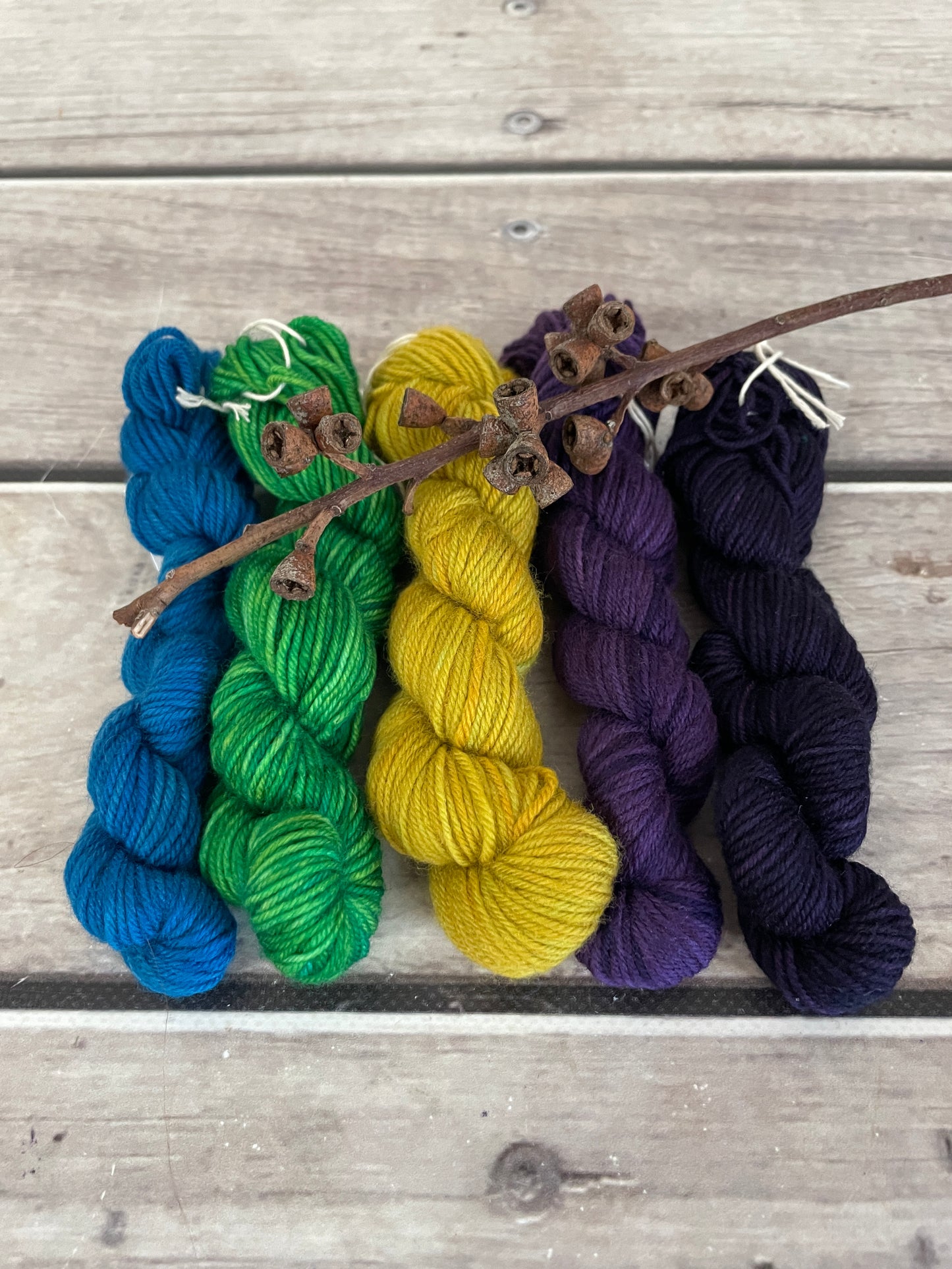 Peacock mini skein kit - Darjeeling 4 - kit 3