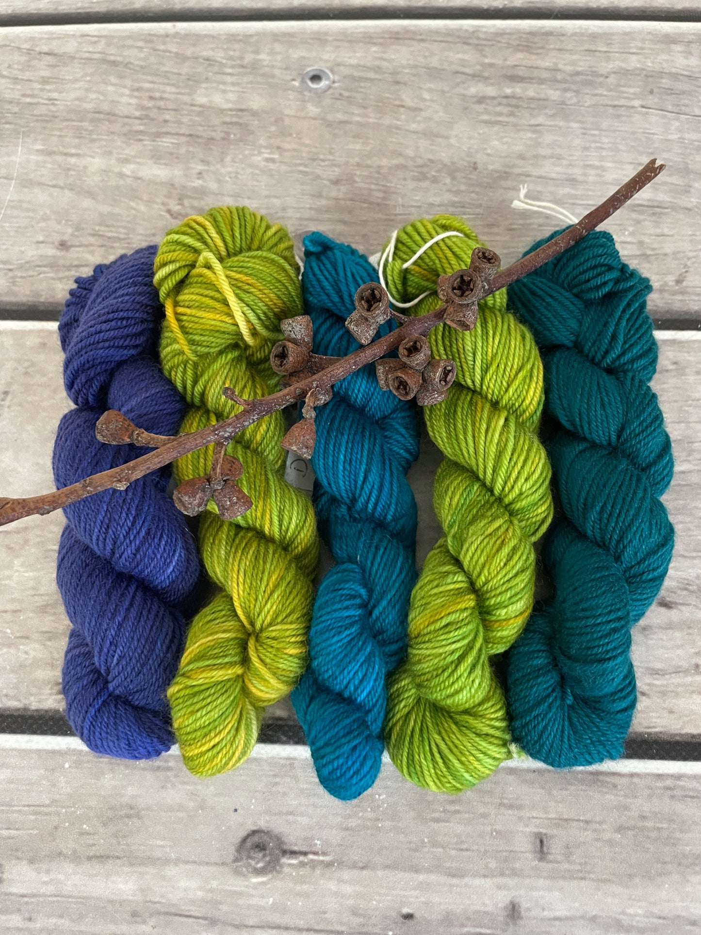 Peacock mini skein kit - Darjeeling 4 - kit 5