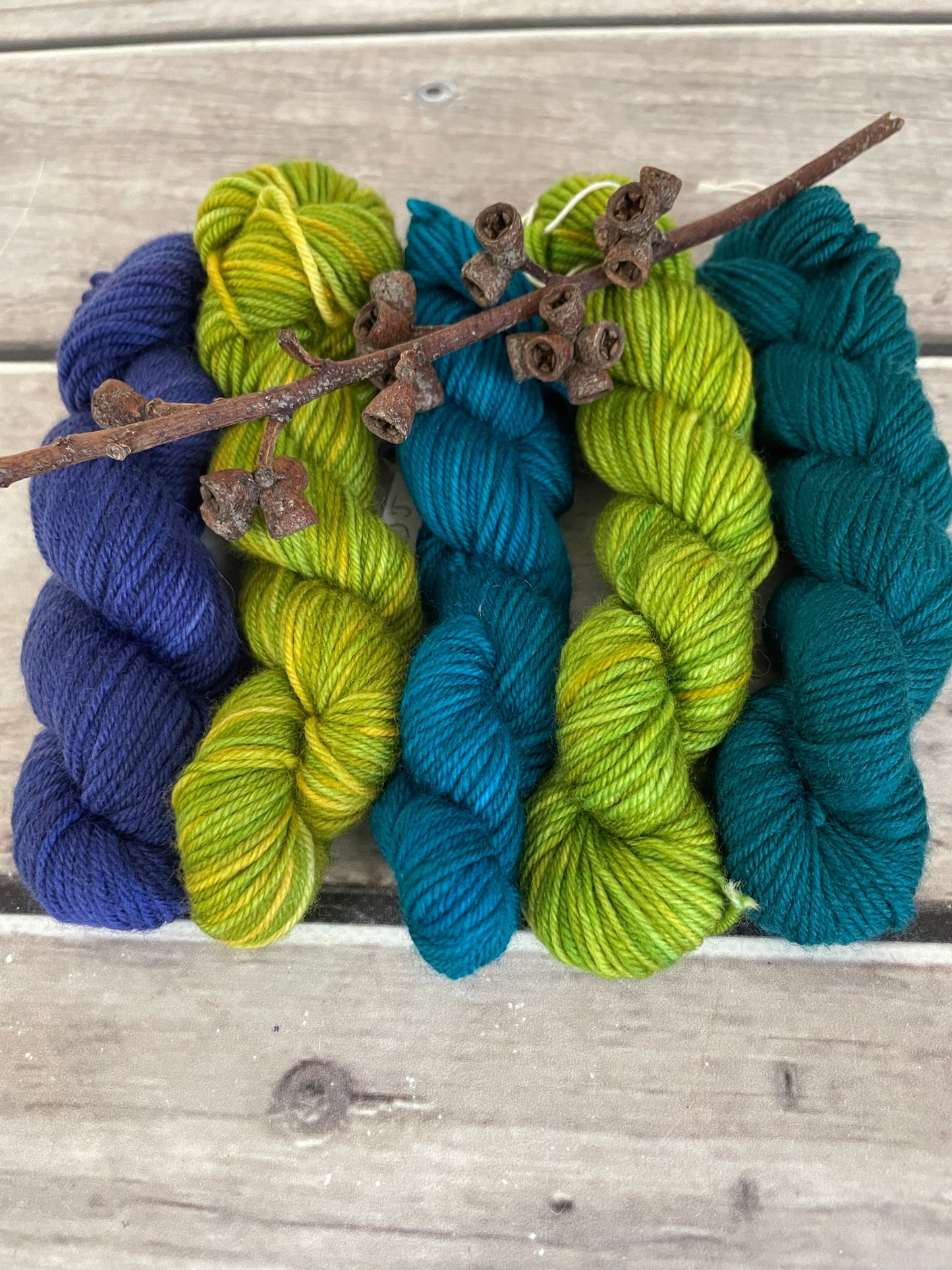 Peacock mini skein kit - Darjeeling 4 - kit 5