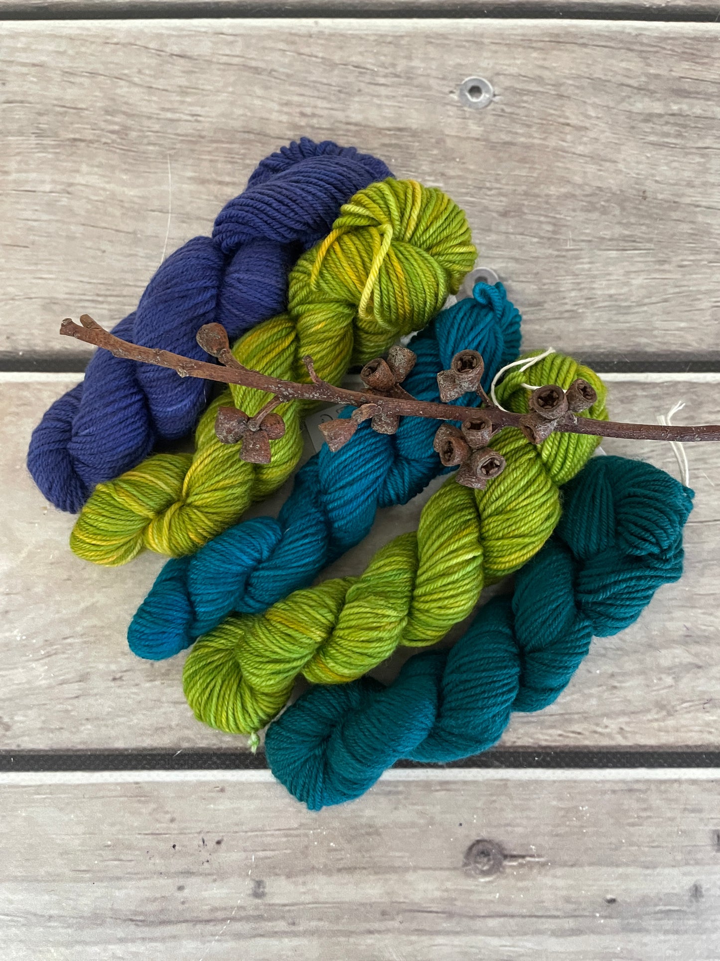 Peacock mini skein kit - Darjeeling 4 - kit 5