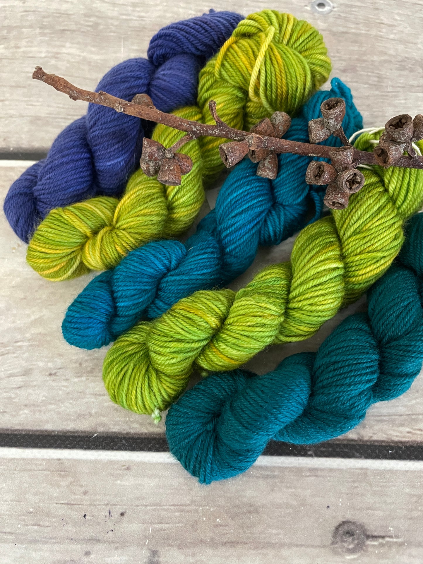 Peacock mini skein kit - Darjeeling 4 - kit 5