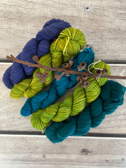 Peacock mini skein kit - Darjeeling 4 - kit 5