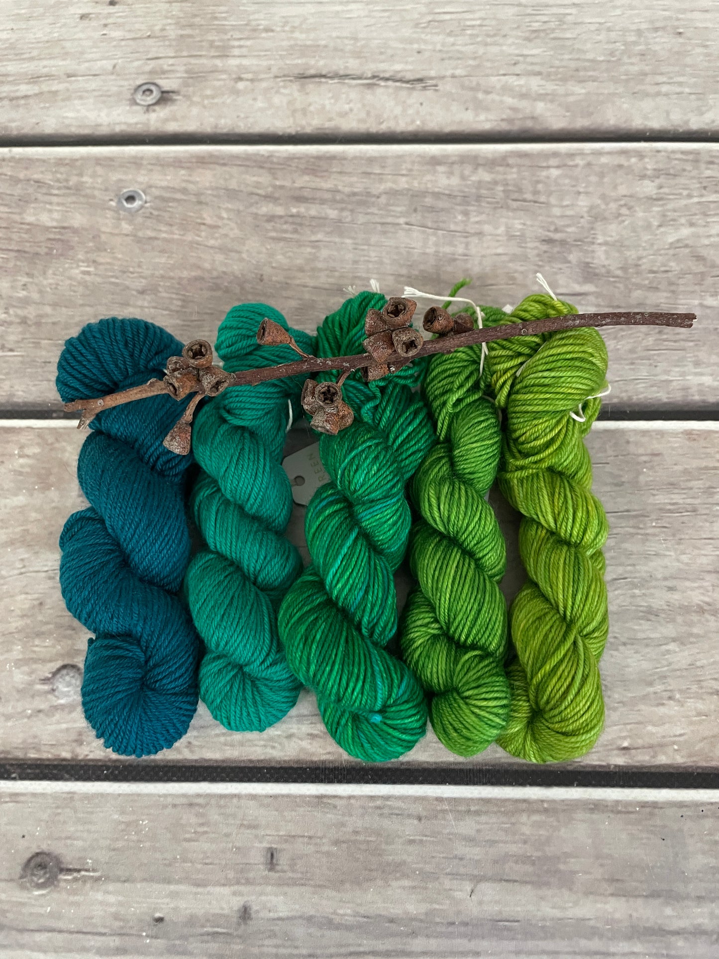 Peacock mini skein kit - Darjeeling 4 - kit 6