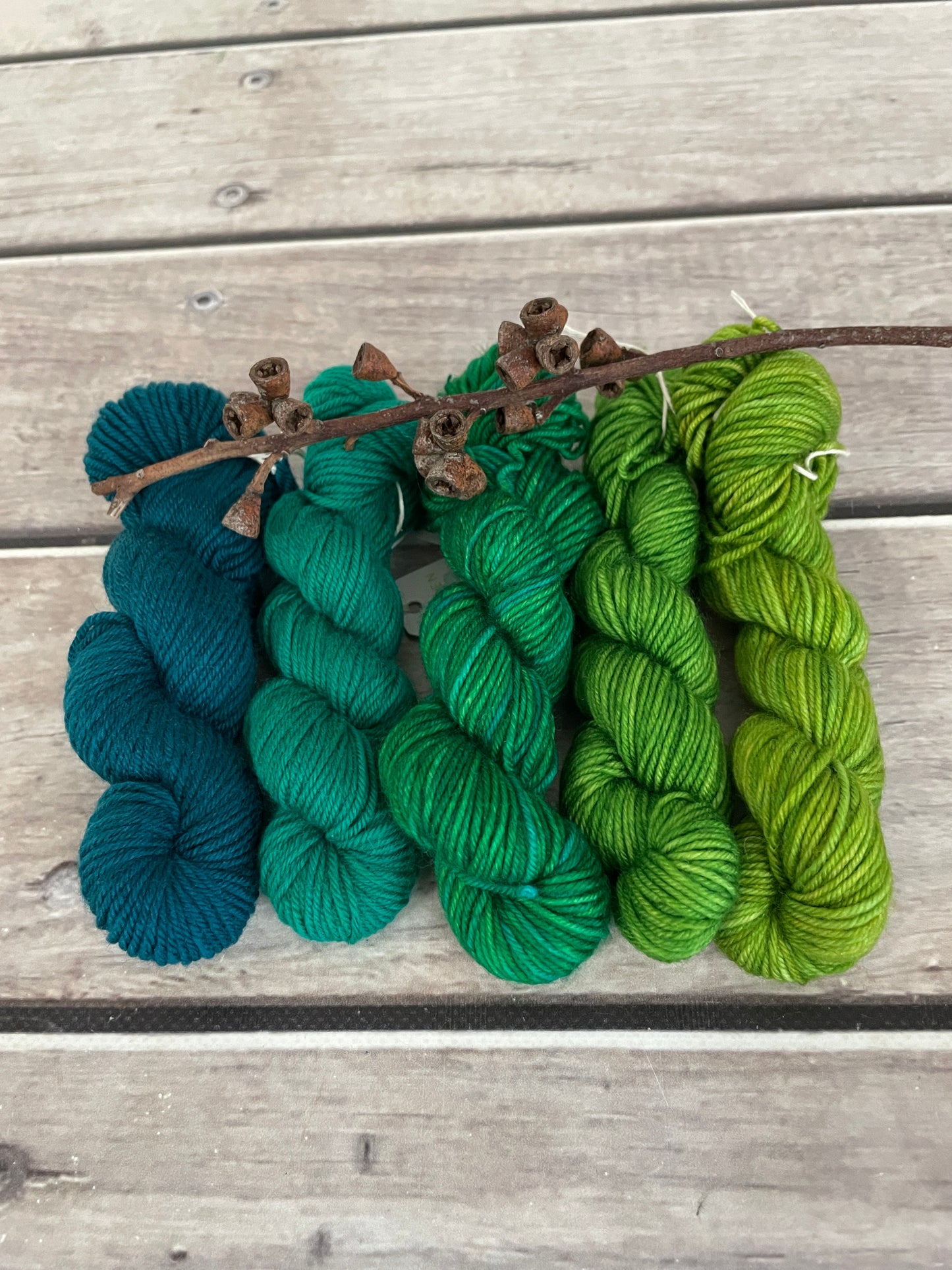 Peacock mini skein kit - Darjeeling 4 - kit 6