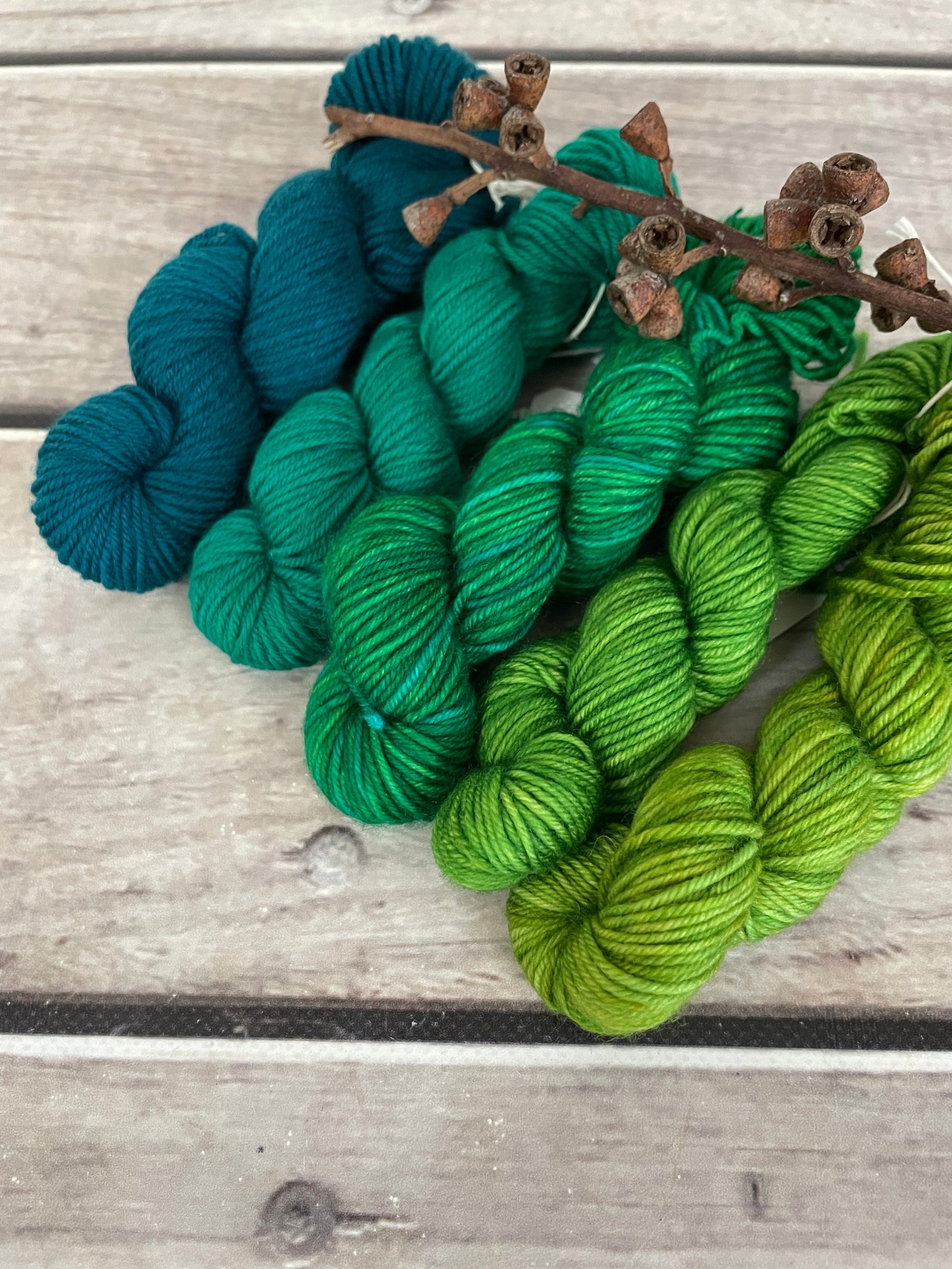 Peacock mini skein kit - Darjeeling 4 - kit 6