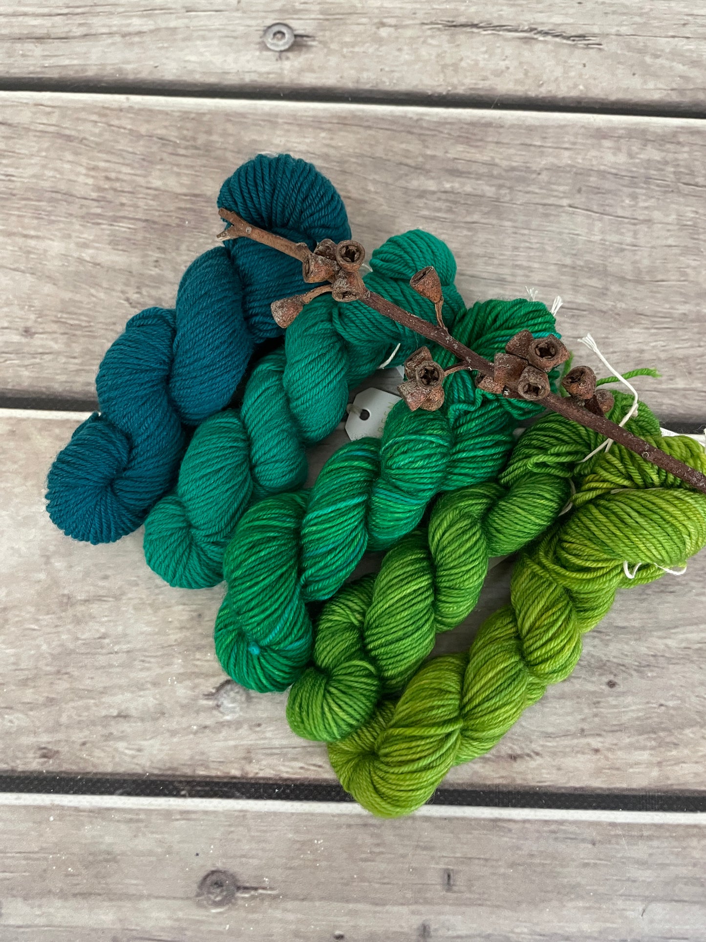 Peacock mini skein kit - Darjeeling 4 - kit 6