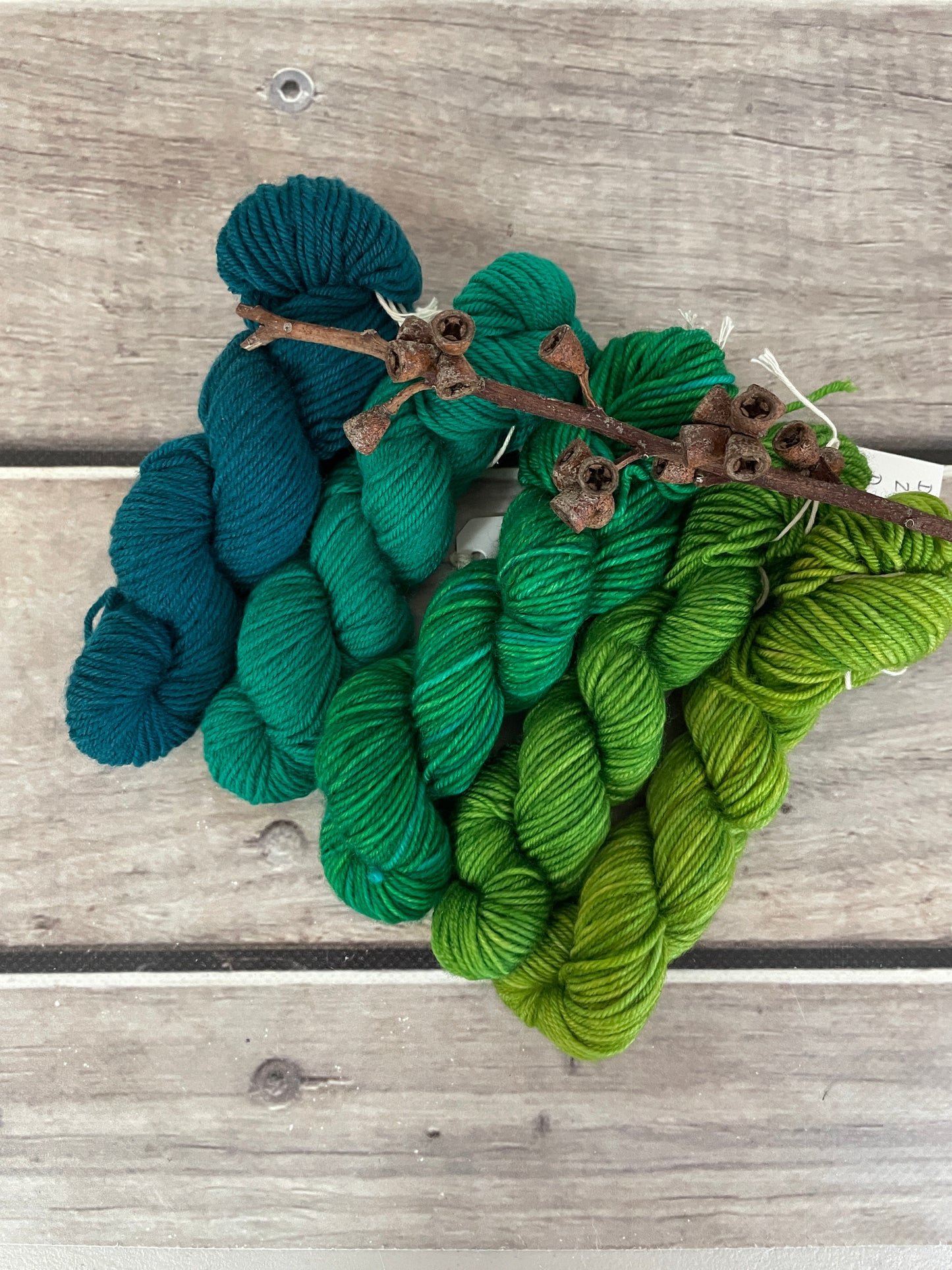 Peacock mini skein kit - Darjeeling 4 - kit 6