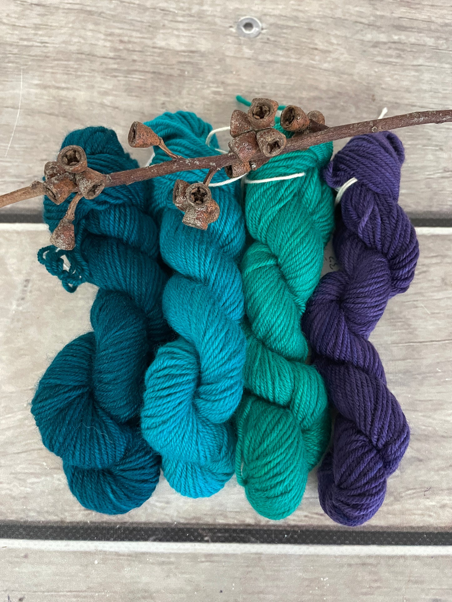 Peacock mini skein kit - Darjeeling 4 - kit 7