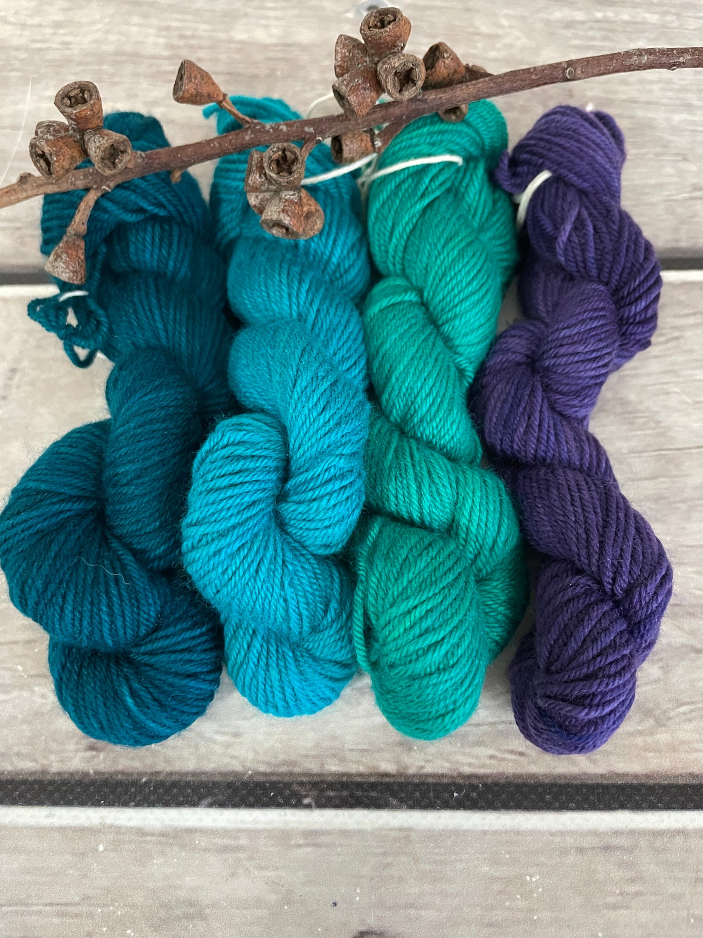 Peacock mini skein kit - Darjeeling 4 - kit 7