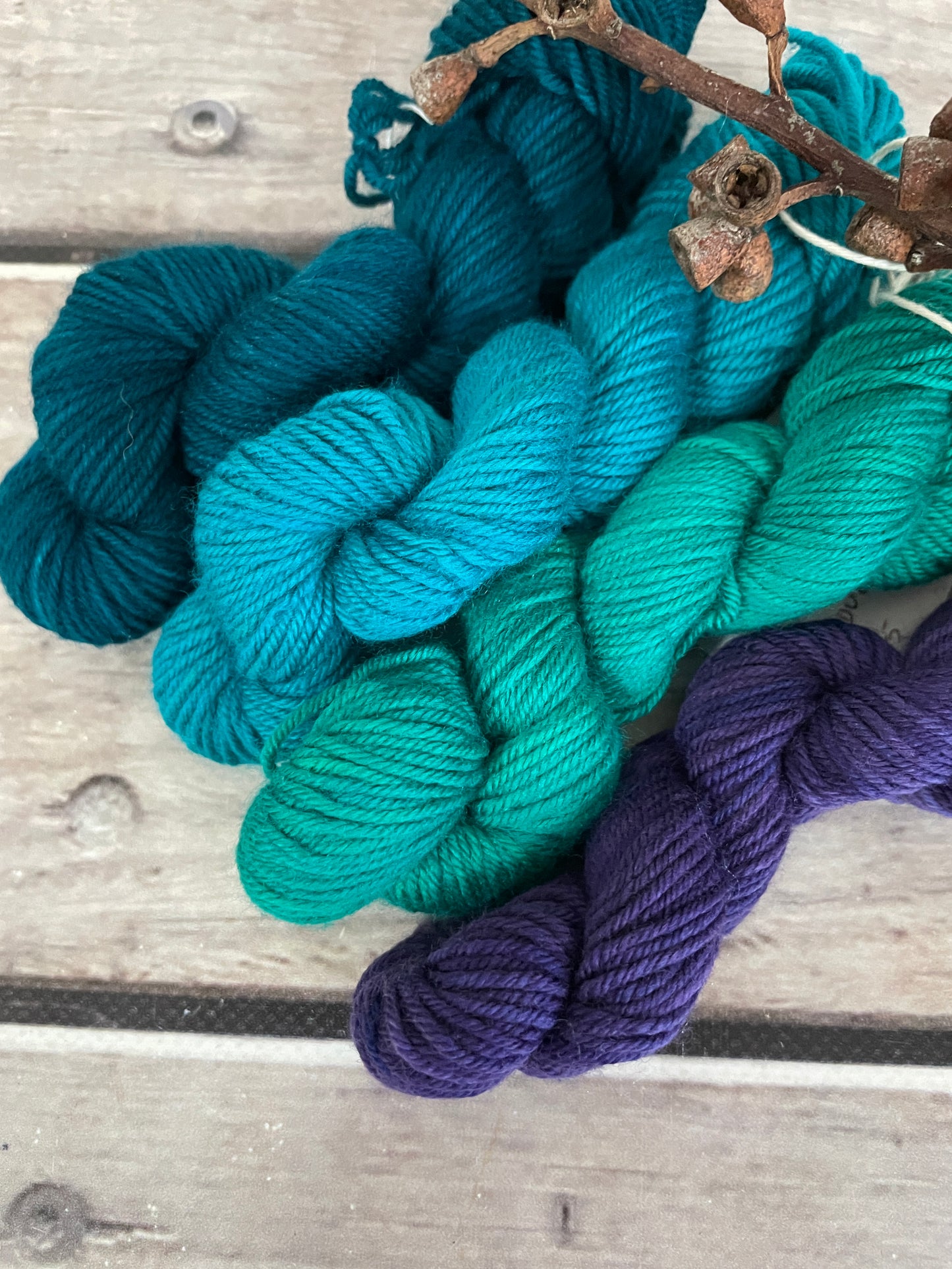 Peacock mini skein kit - Darjeeling 4 - kit 7